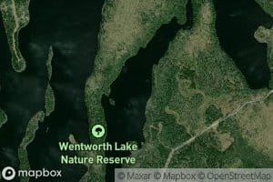 Little Wentworth Lake