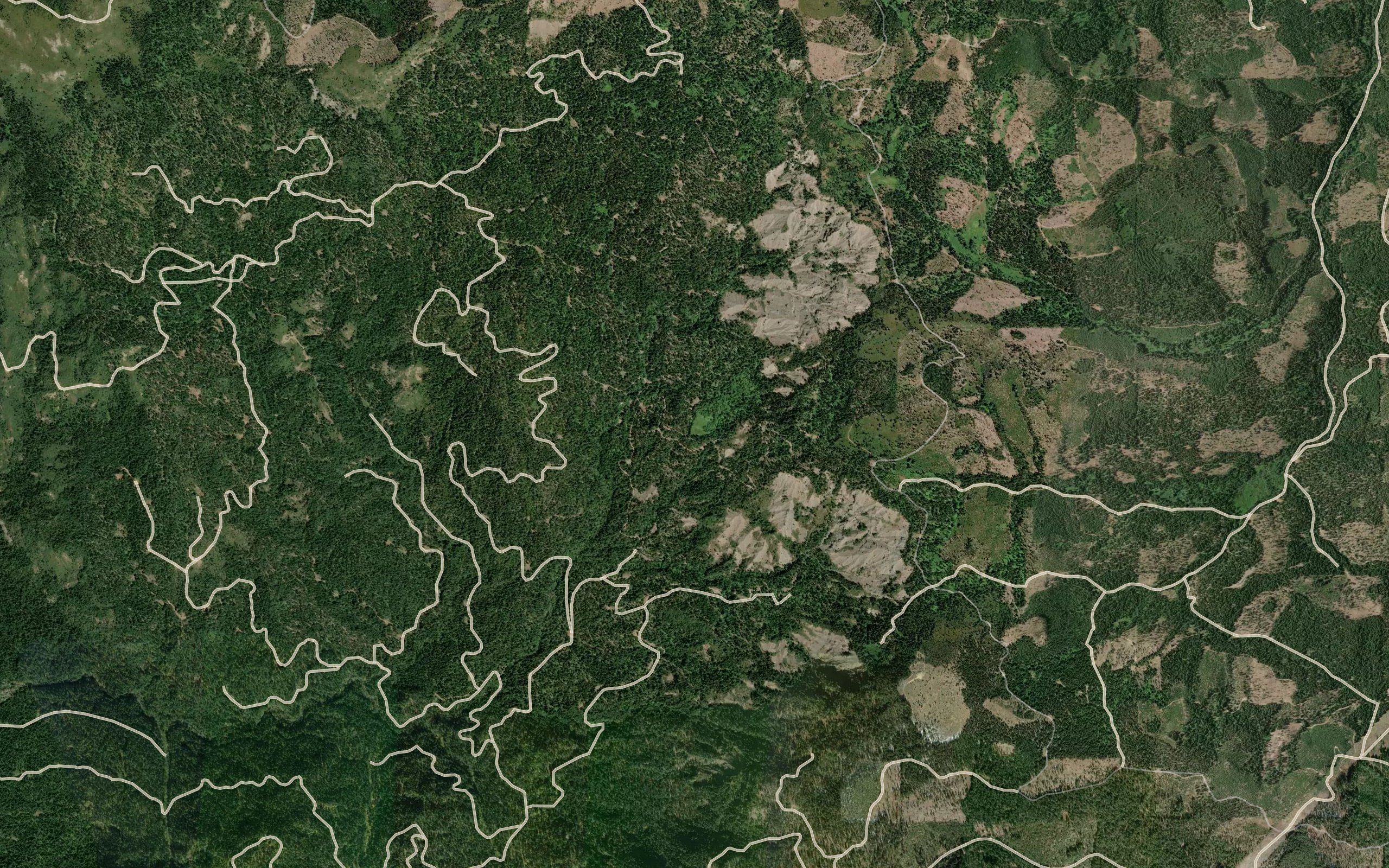 Curtis Lake