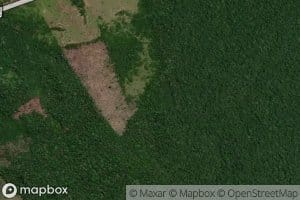 Igarape Santa Isabel