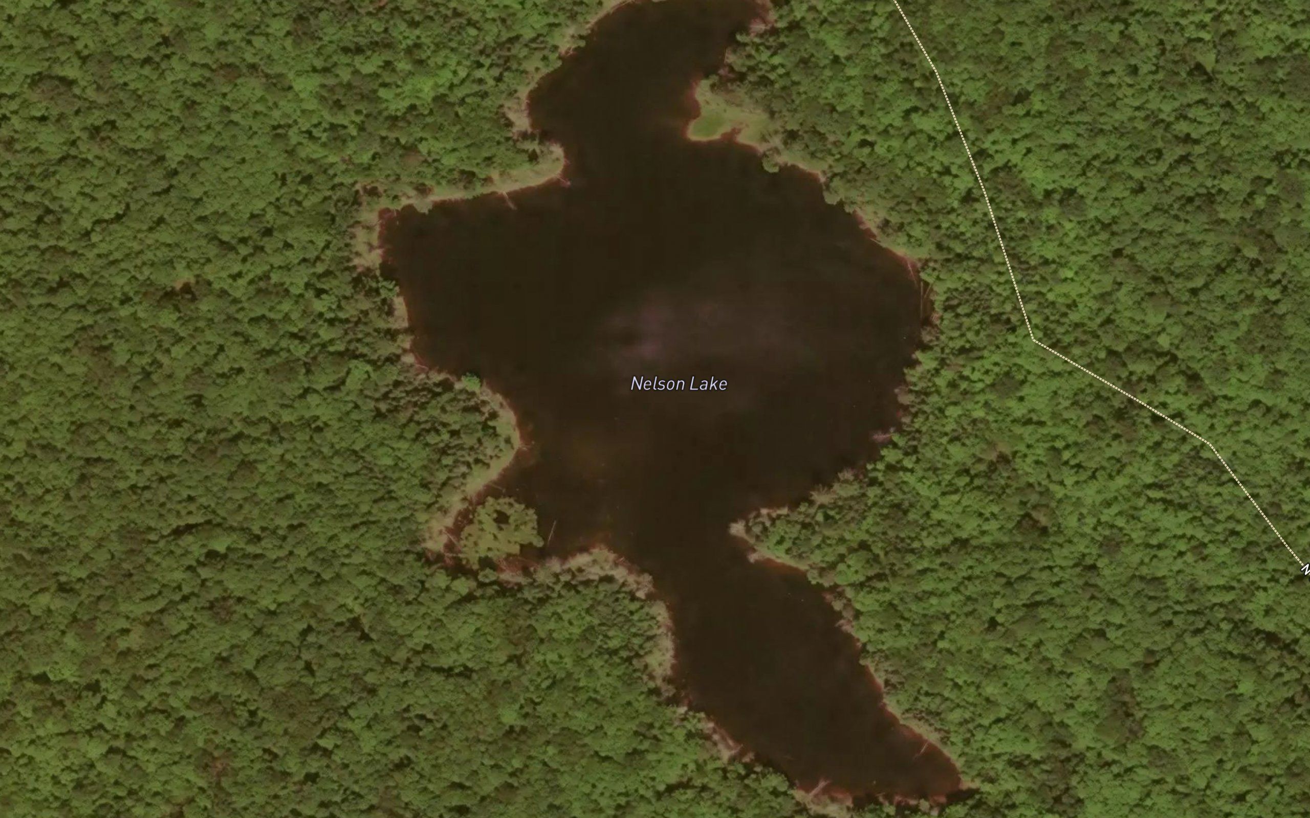 Nelson Lake