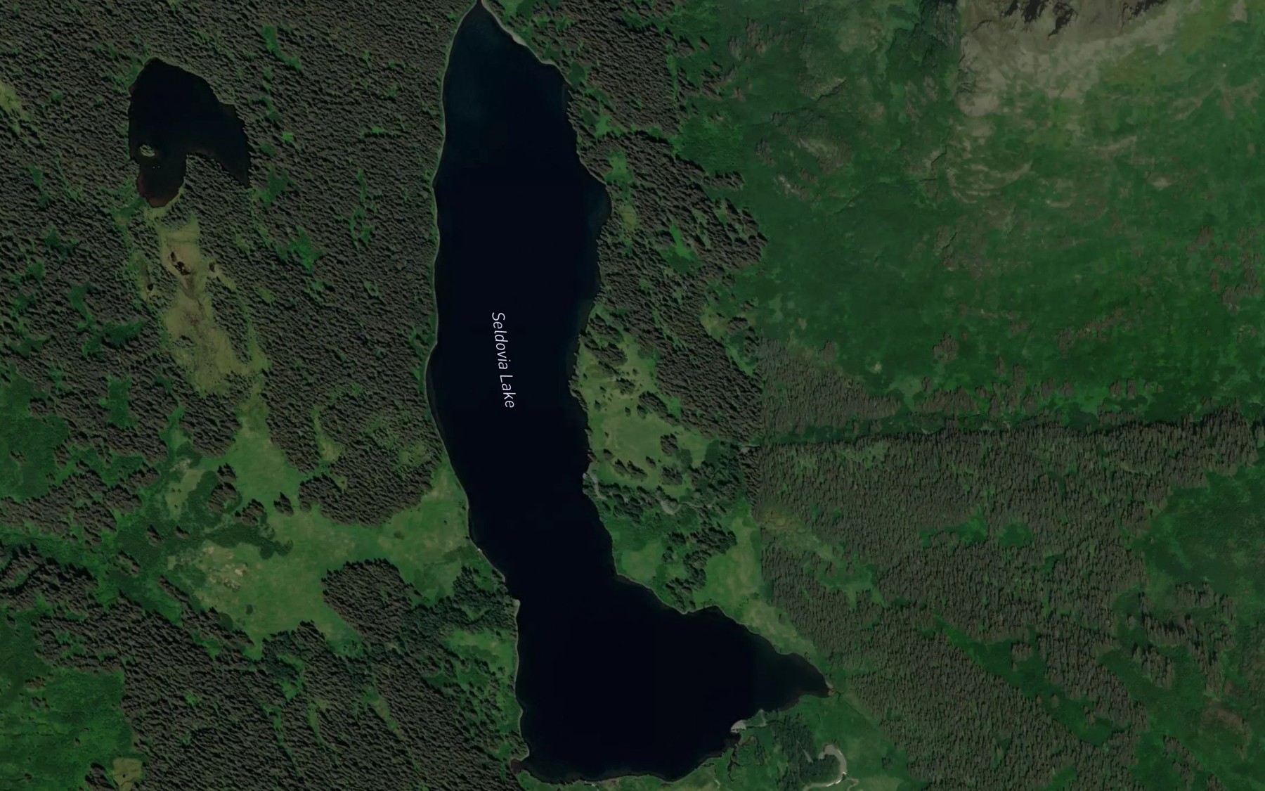 Satellite map of the Seldovia Lake