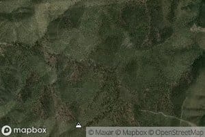 Section Twelve Spring