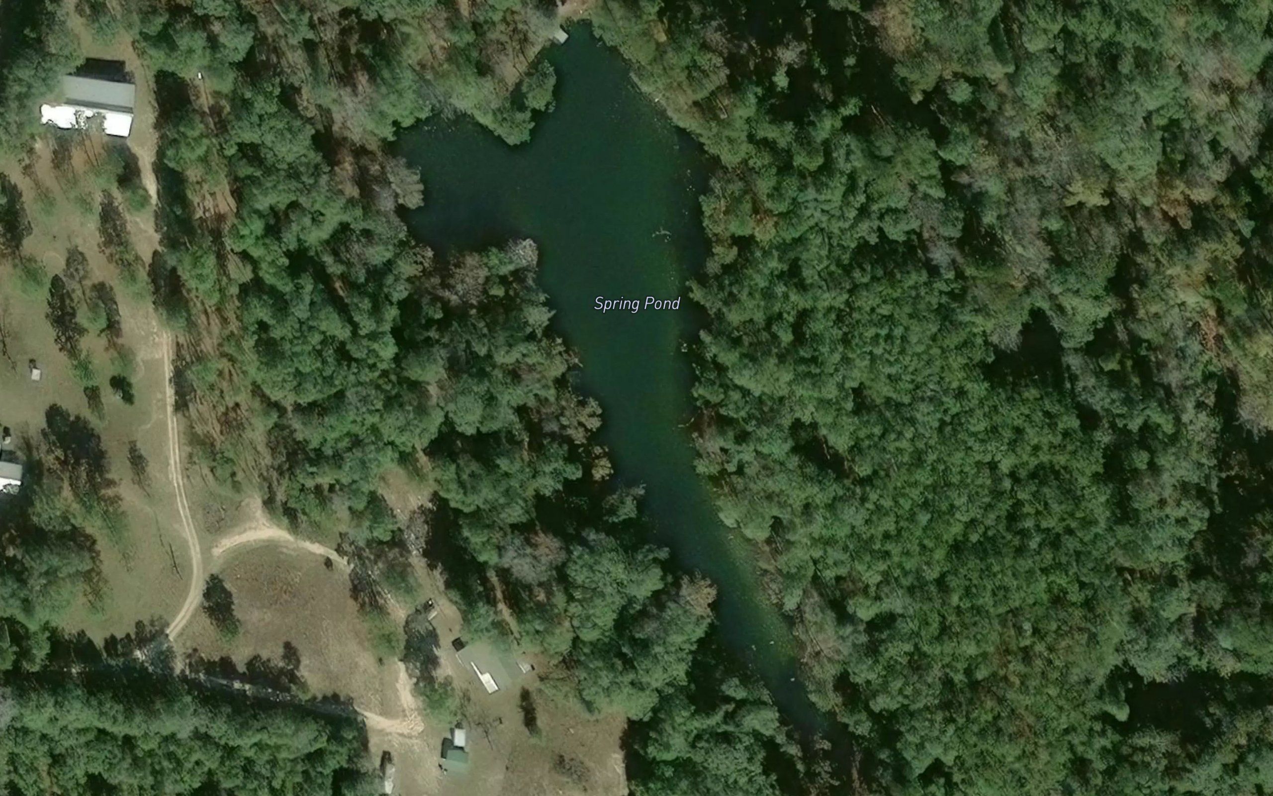 Spring Pond