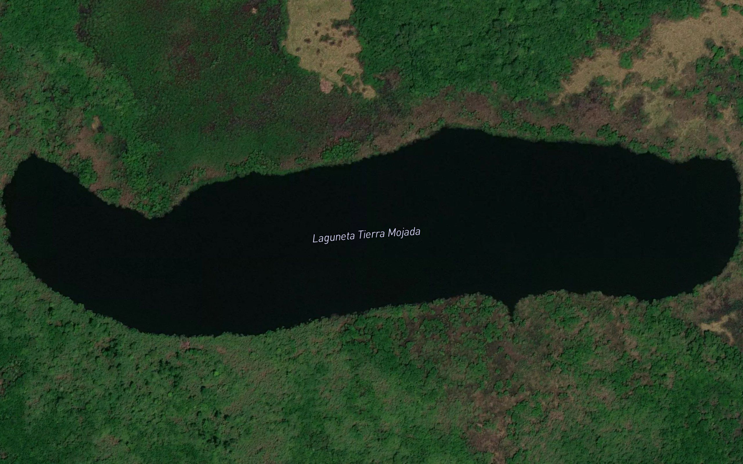 Laguneta Tierra Mojada