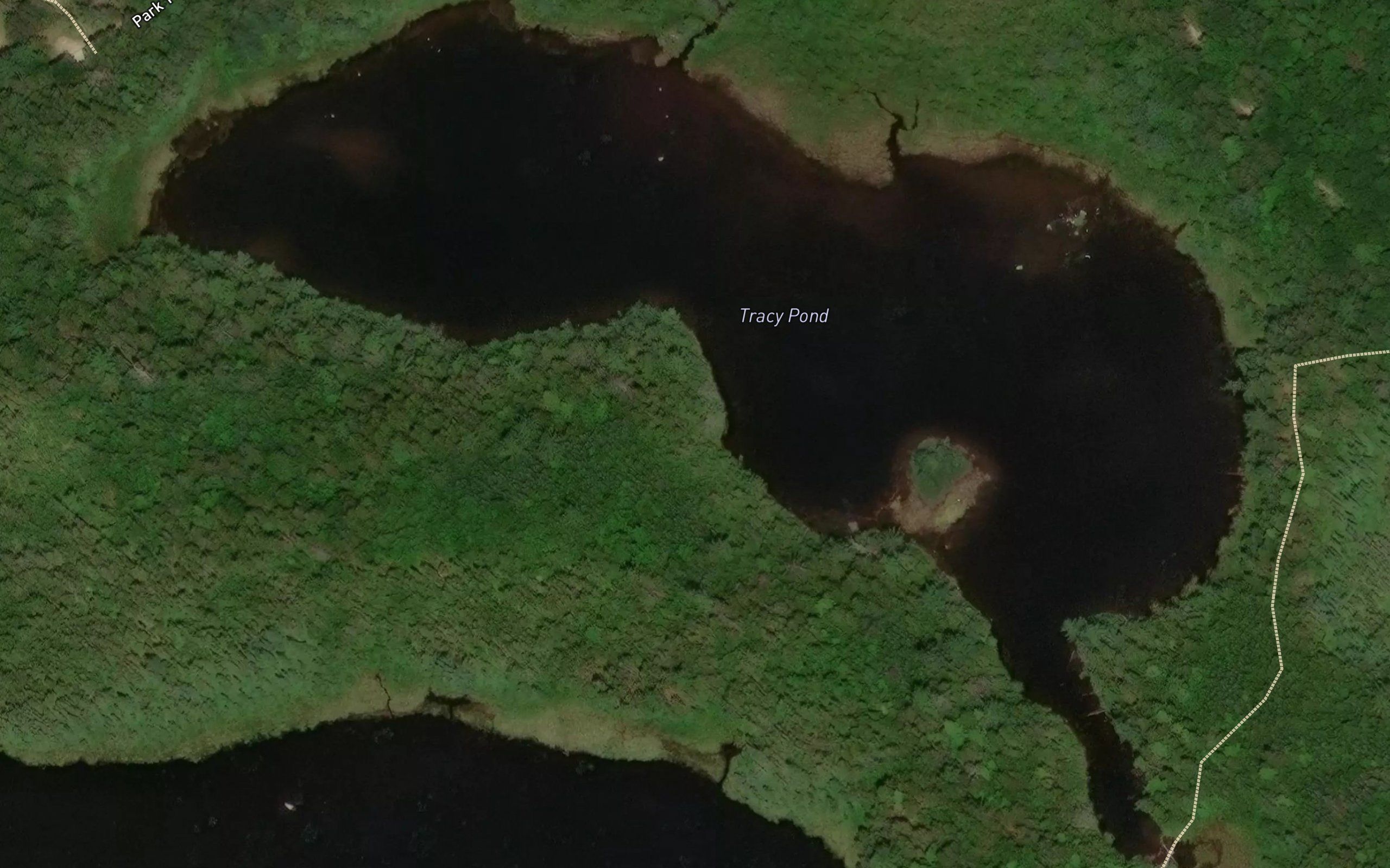 Tracy Pond