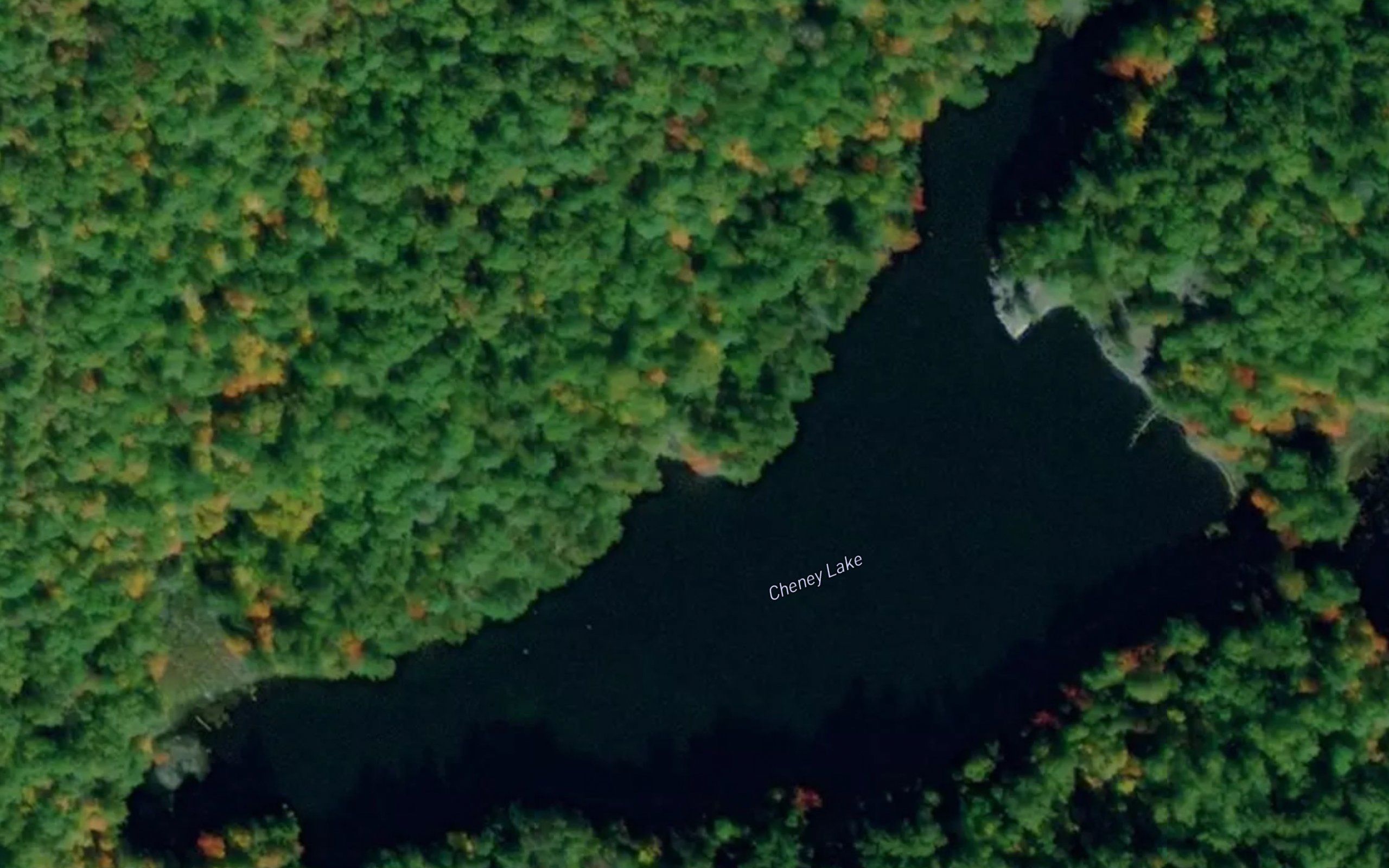 Cheney Lake