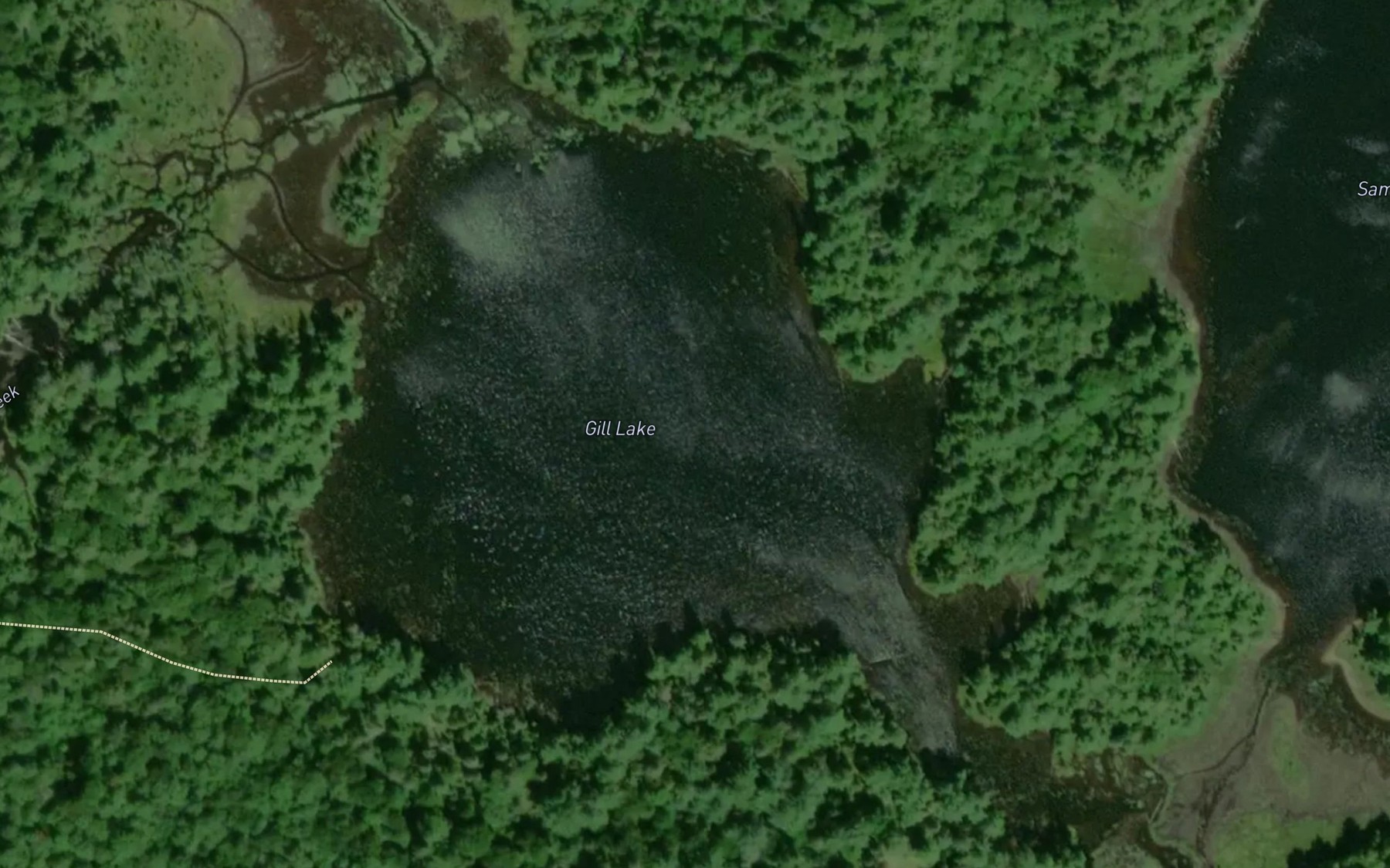 Satellite map of the Gill Lake