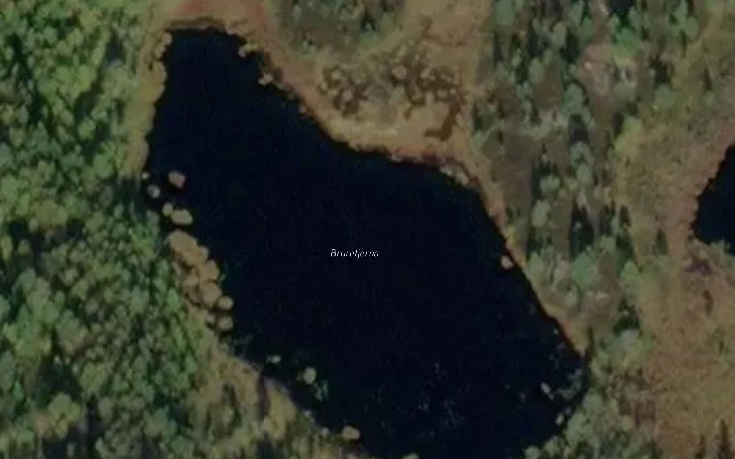 Bruretjerna