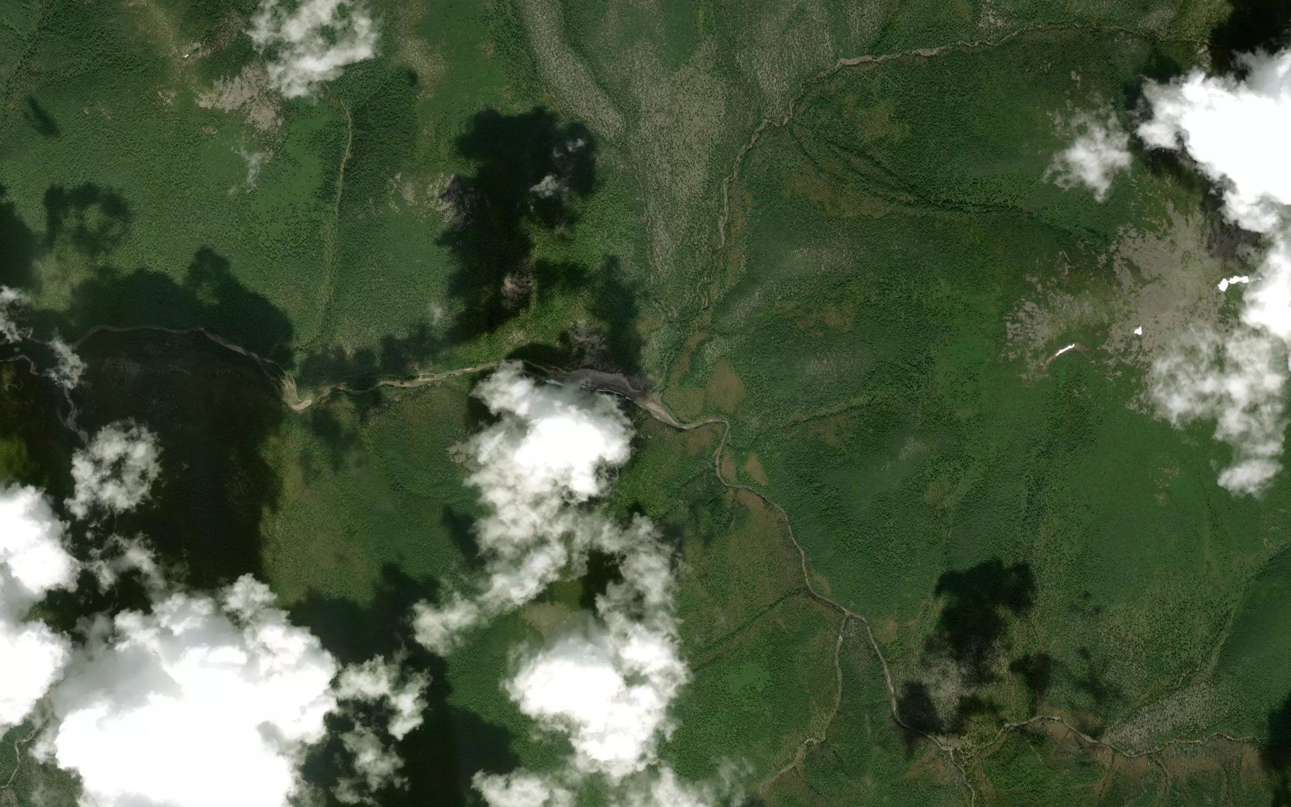 Shirokaya