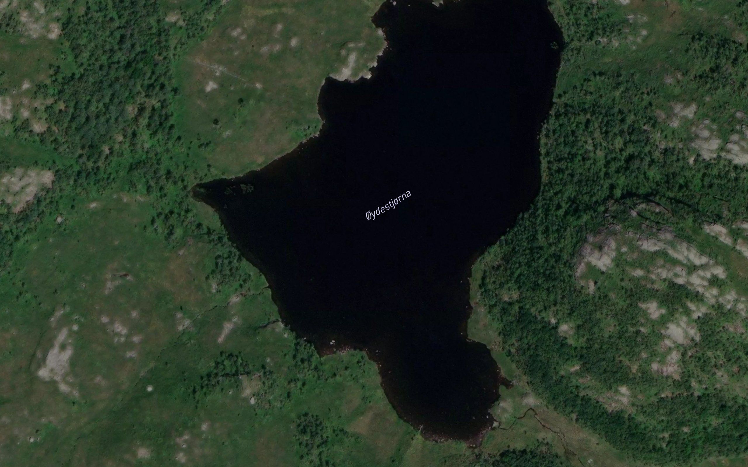Oydestjorna