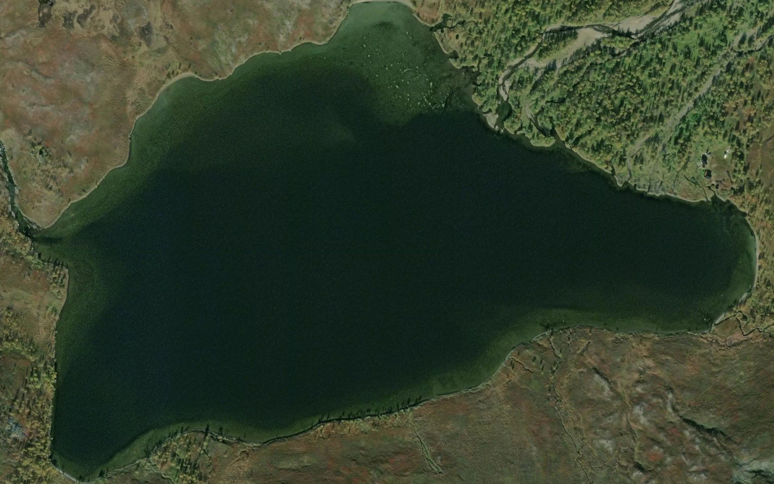 Lattetjavri