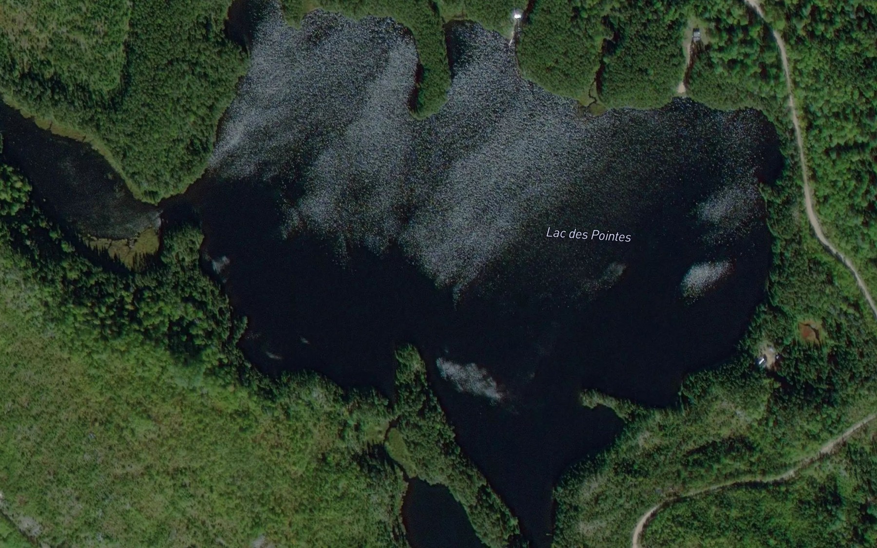 Satellite map of the Lac des Pointes