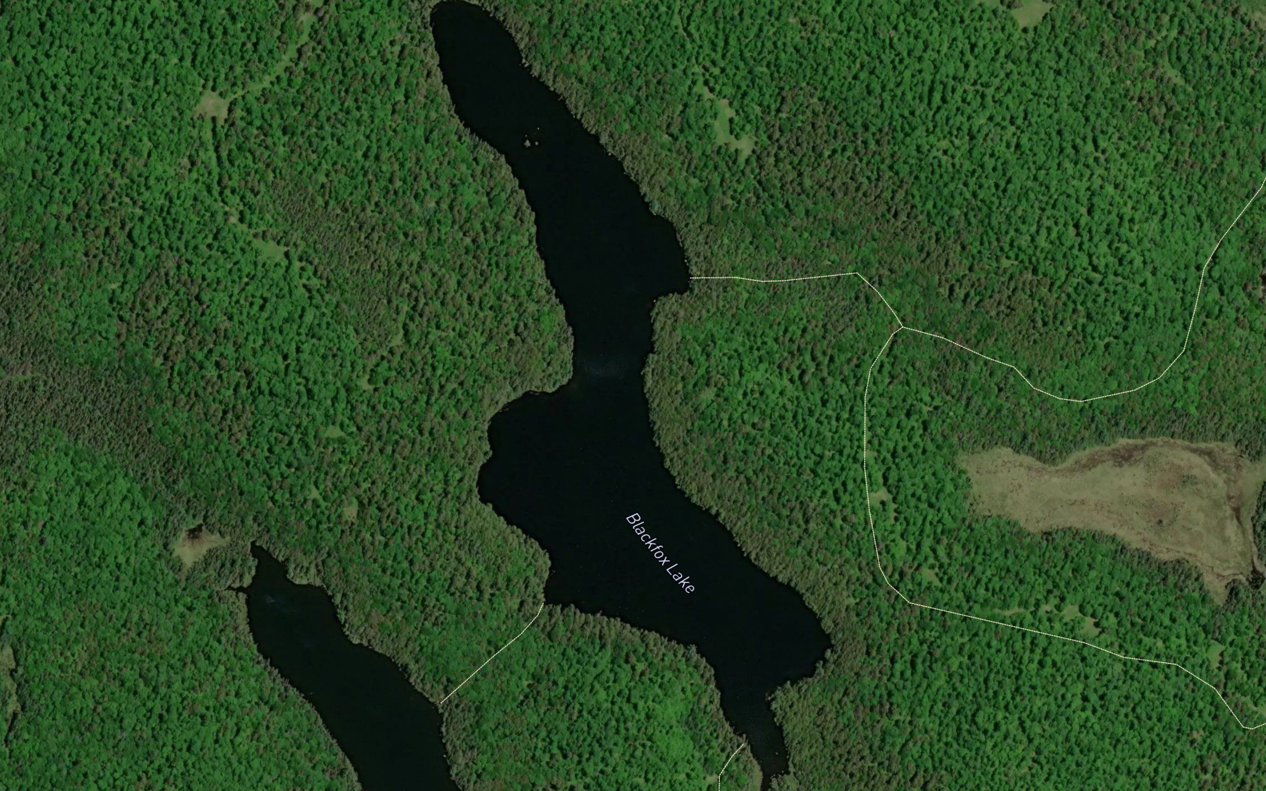 Blackfox Lake
