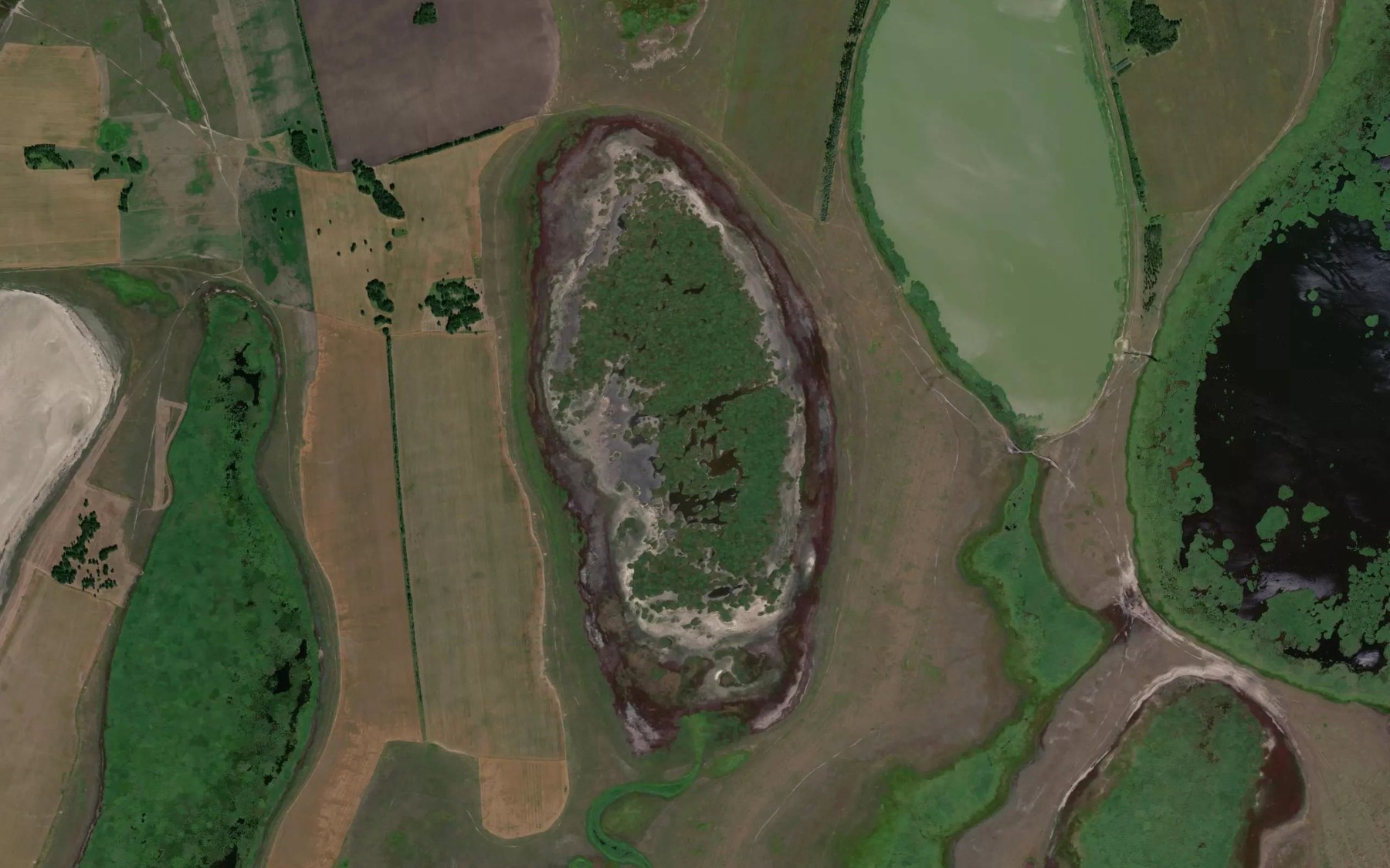 Satellite map of the Ozero Pestren'koye