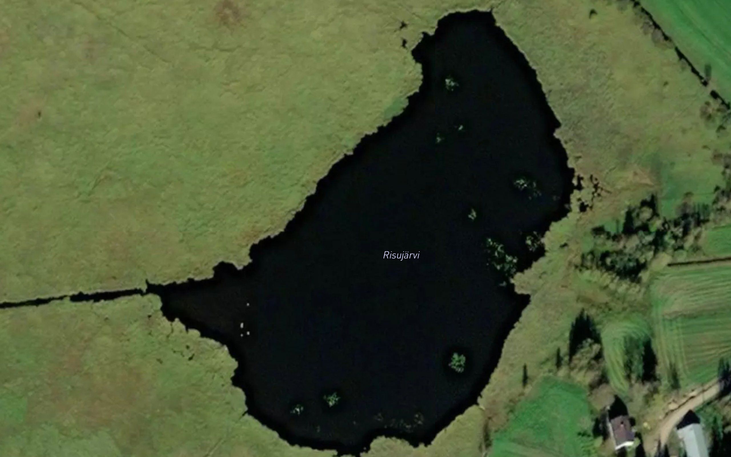 Risujarvi