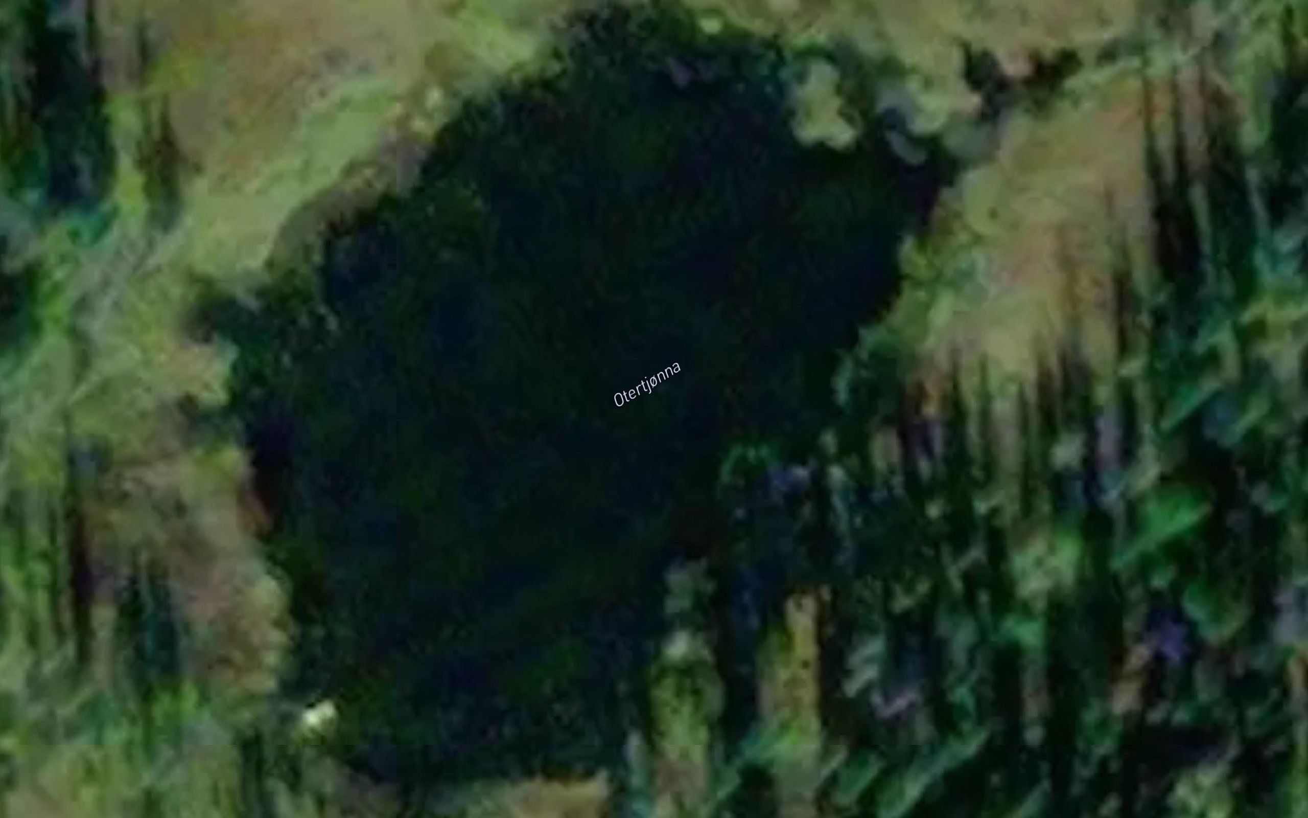 Otertjorna