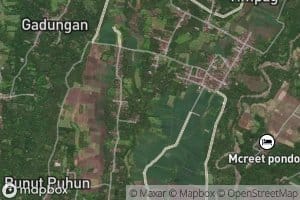 Pangkung Lengkuas