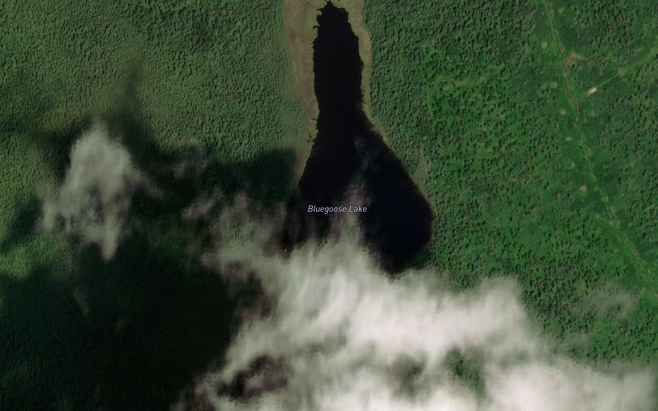 Bluegoose Lake