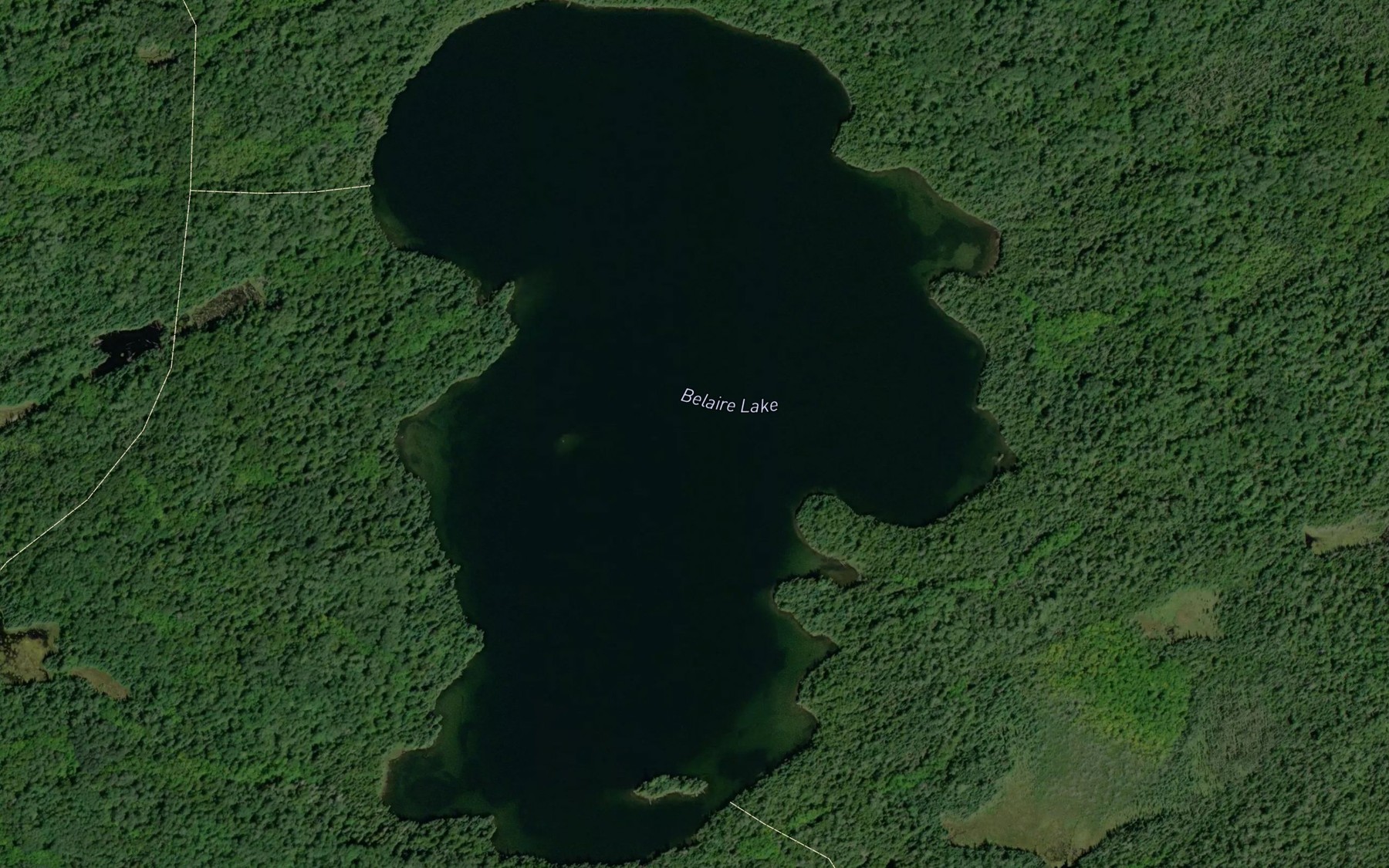 Satellite map of the Belaire Lake