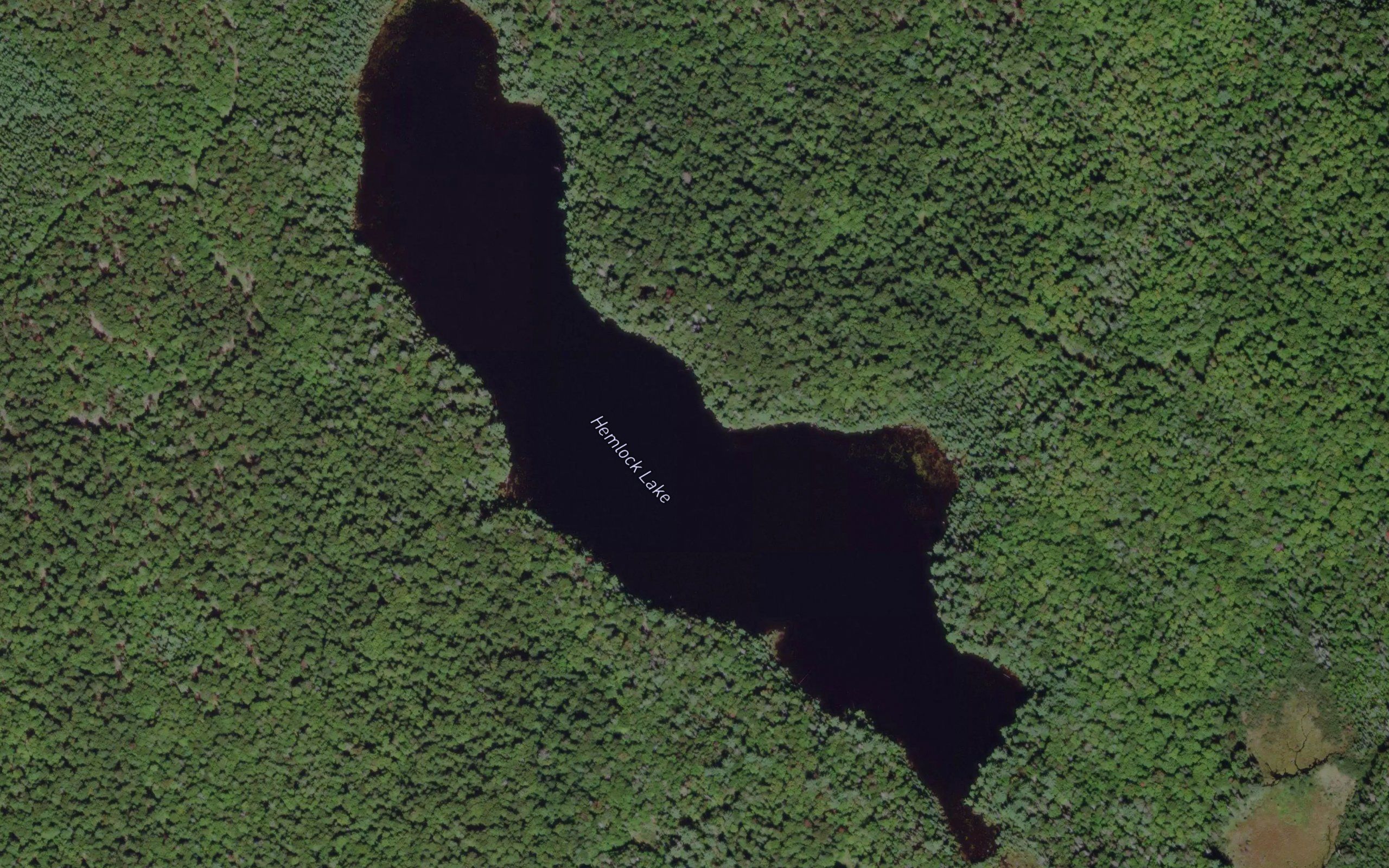 Hemlock Lake