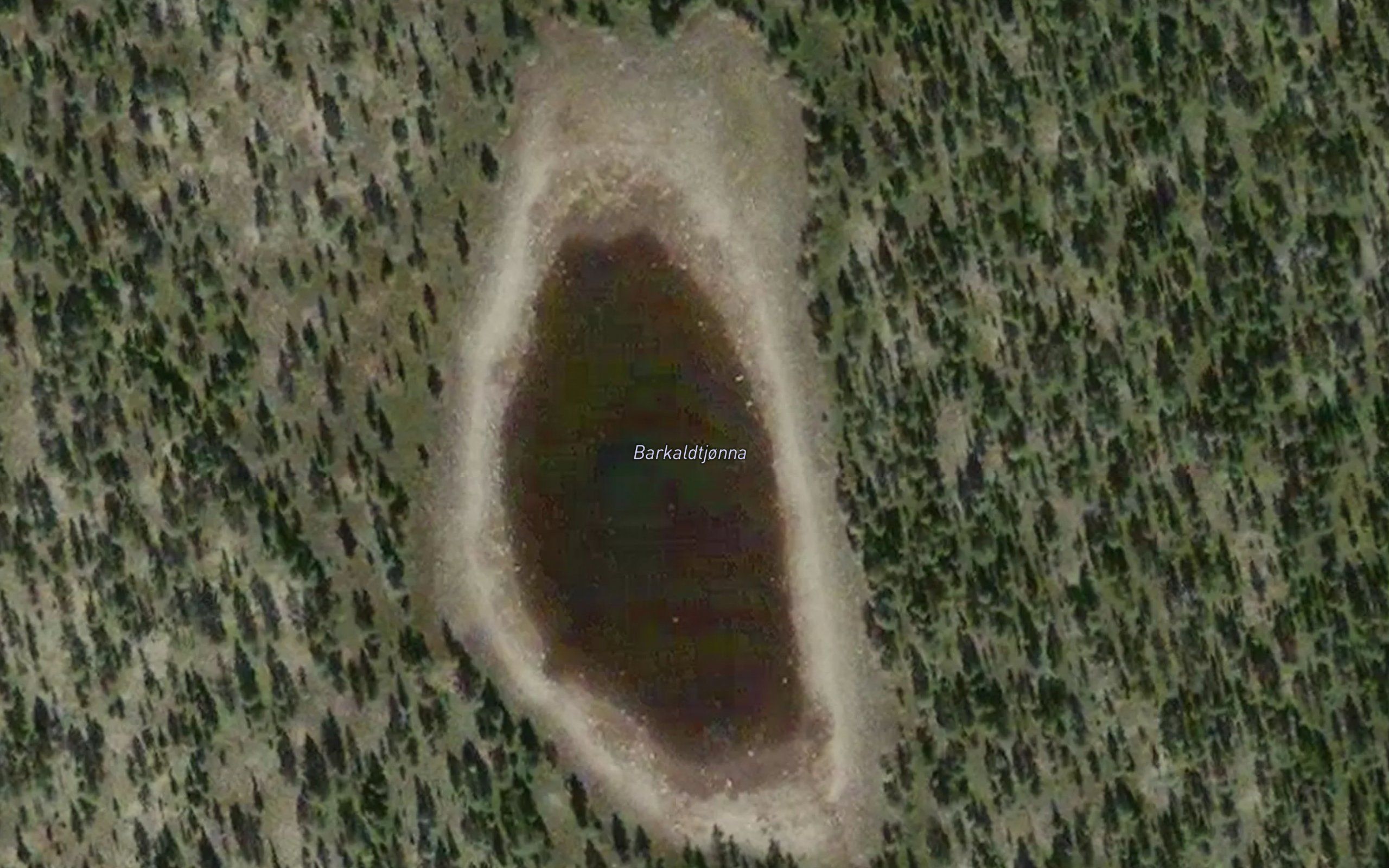 Barkaldtjorna