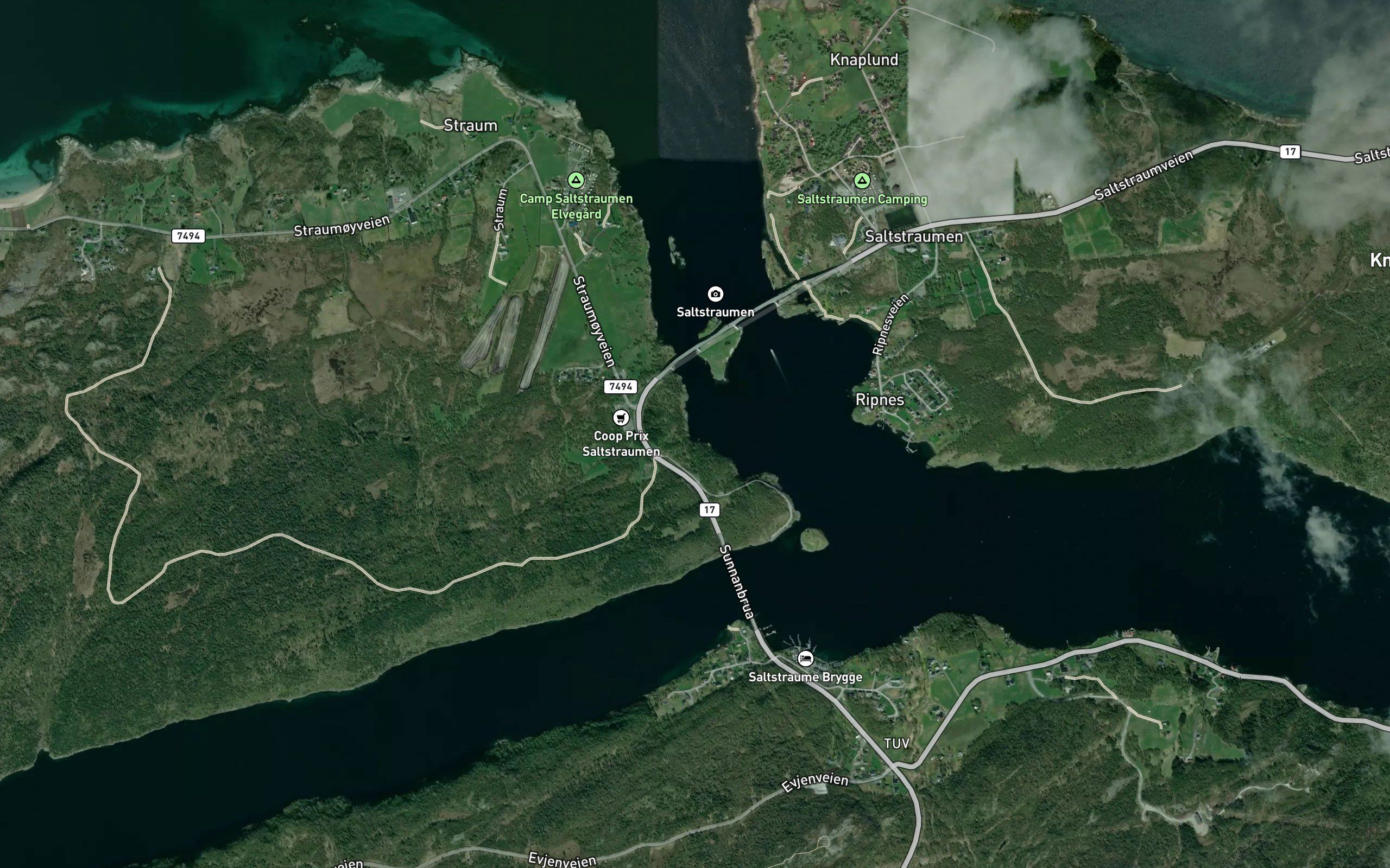 Lusvika