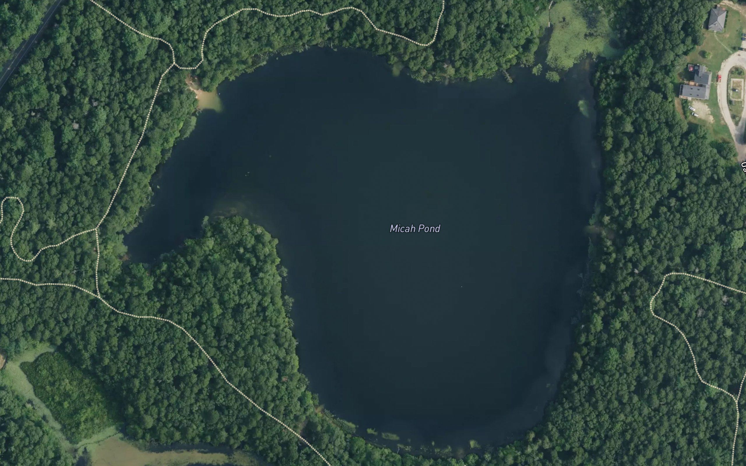 Micah Pond