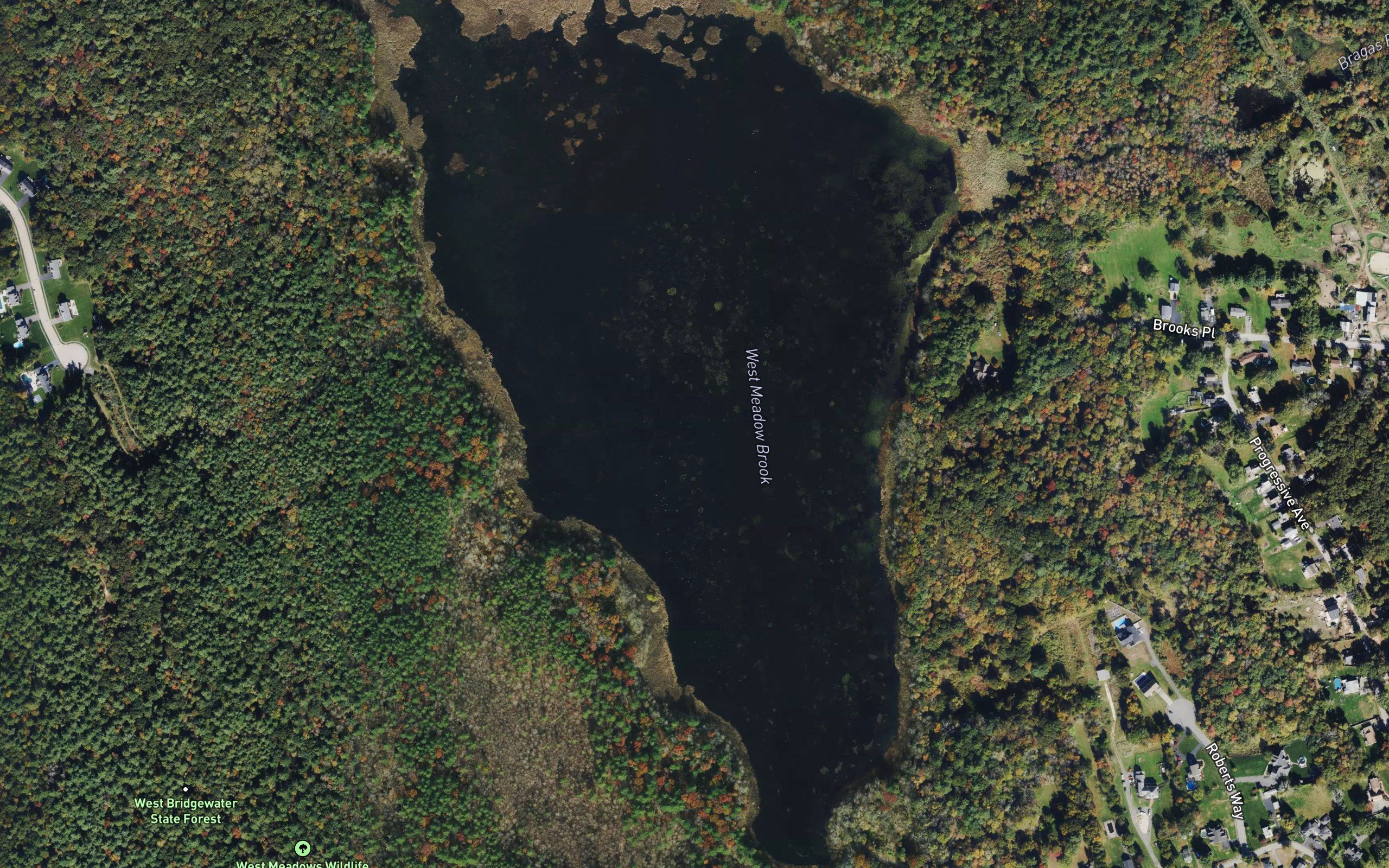 West Meadow Brook Pond