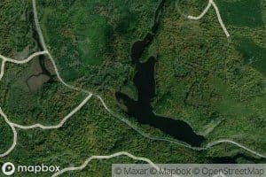 West Branch Misery Stream