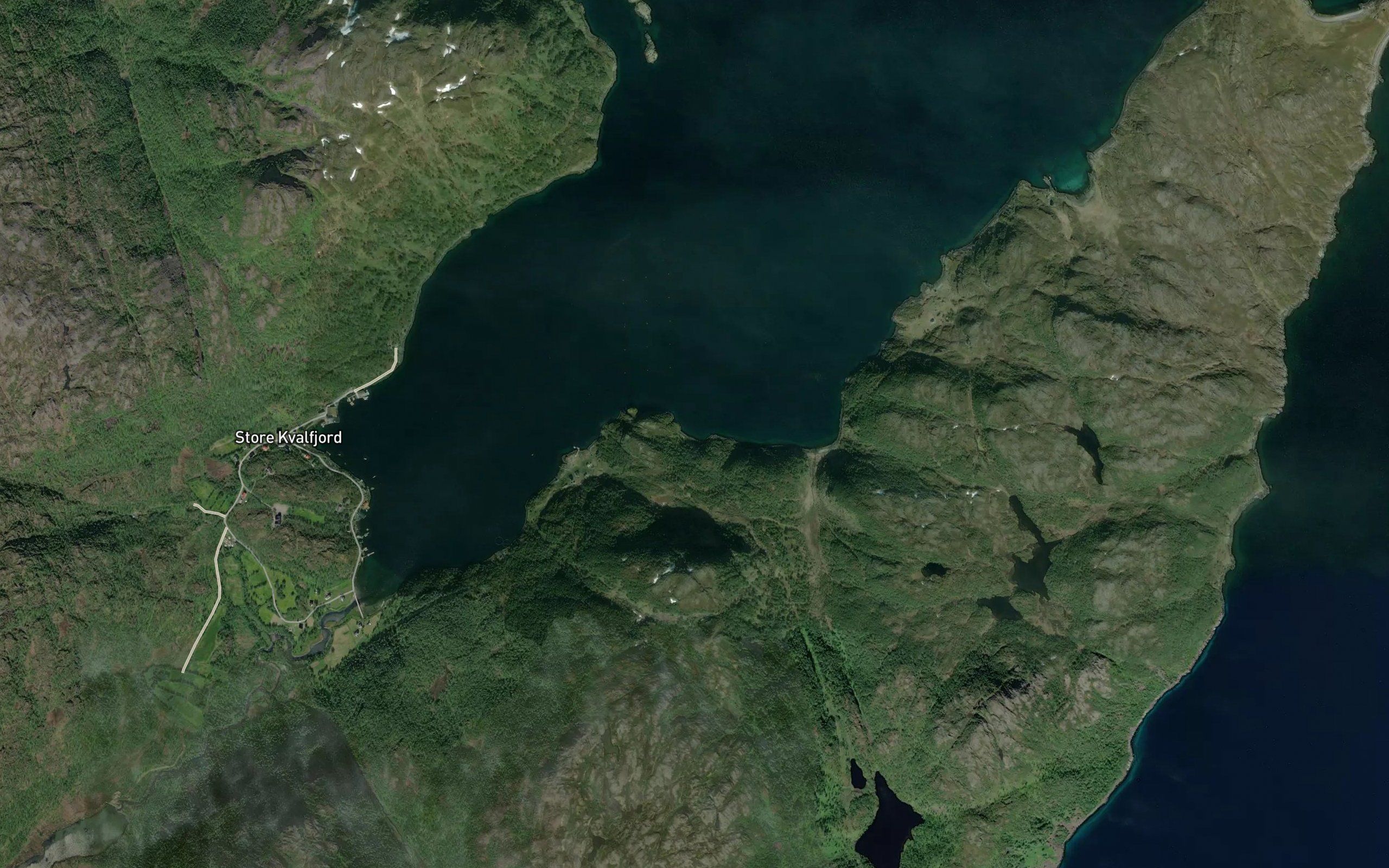 Ornbukta