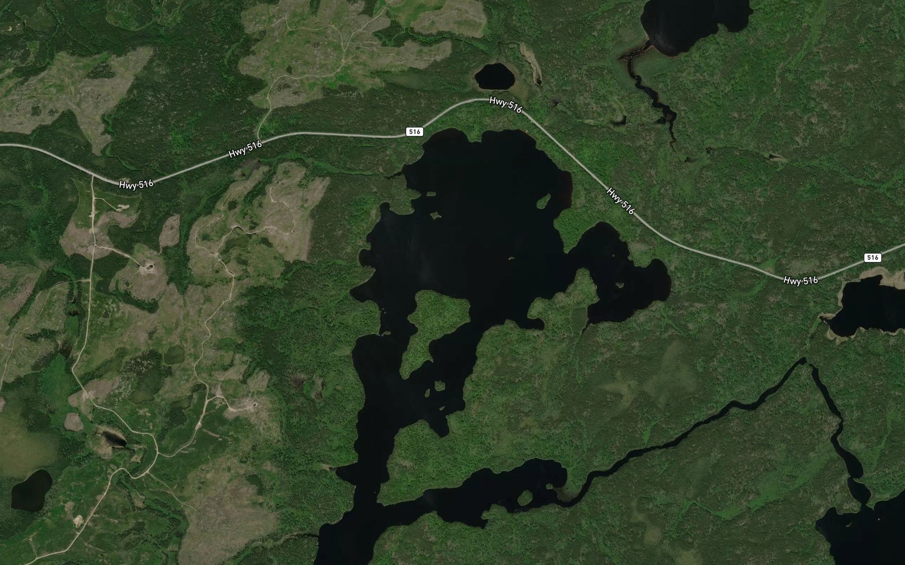 Satellite map of the Lewis Lake