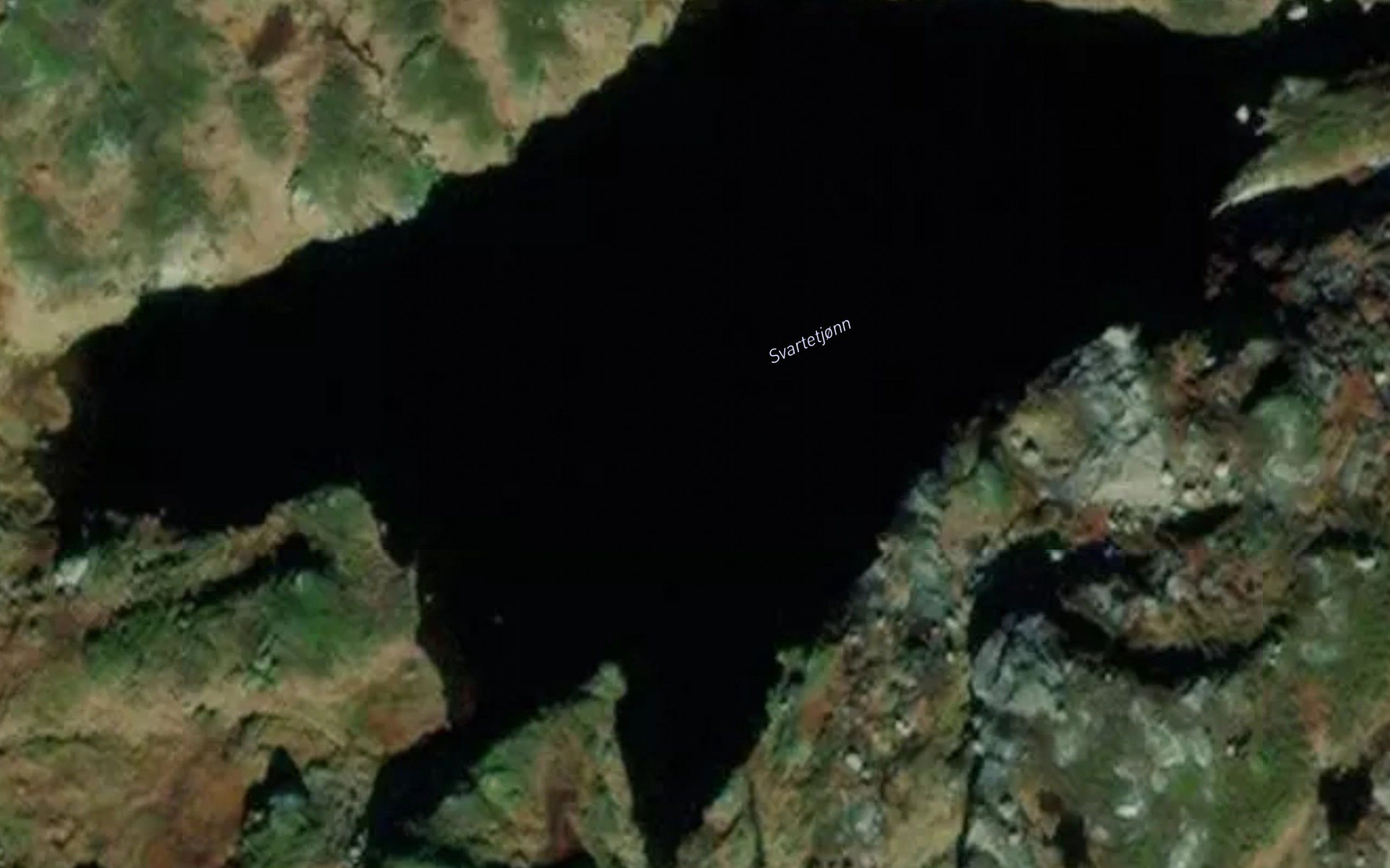 Svartatjorn