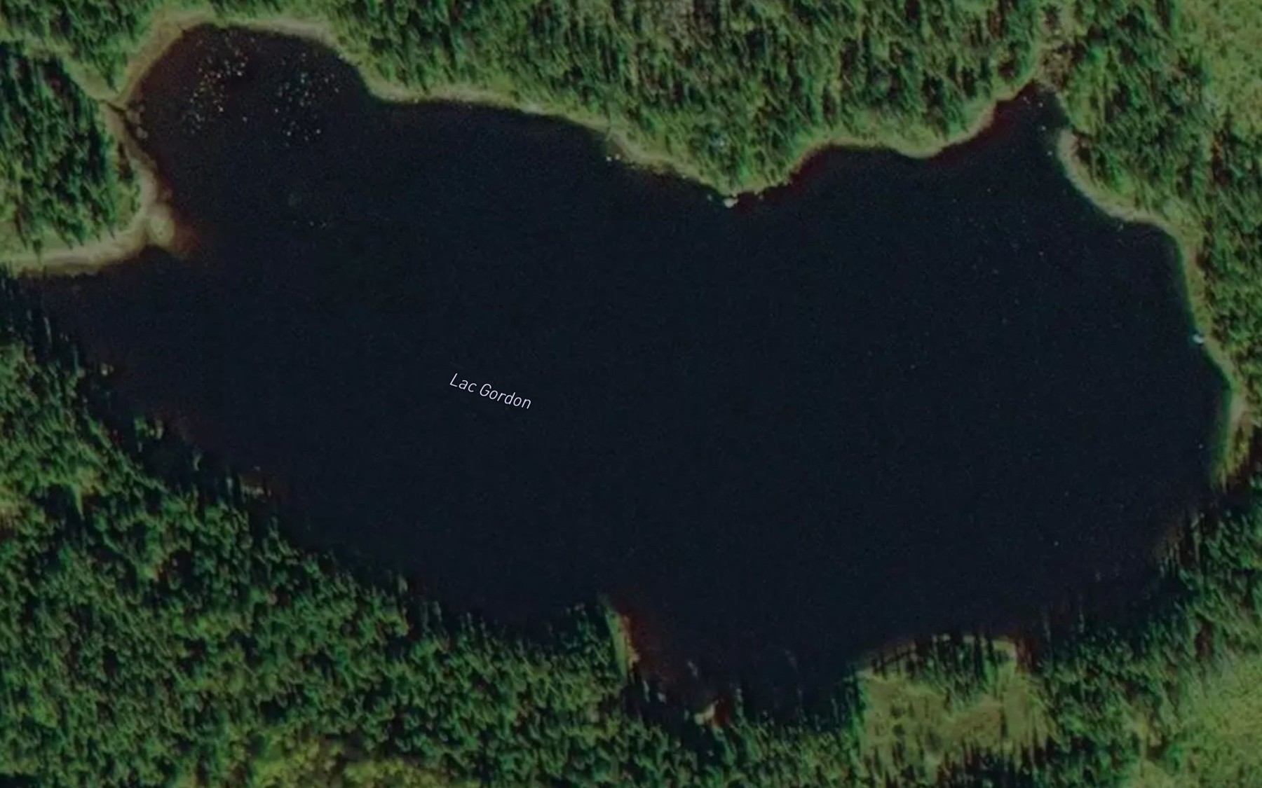 Satellite map of the Lac Gordon