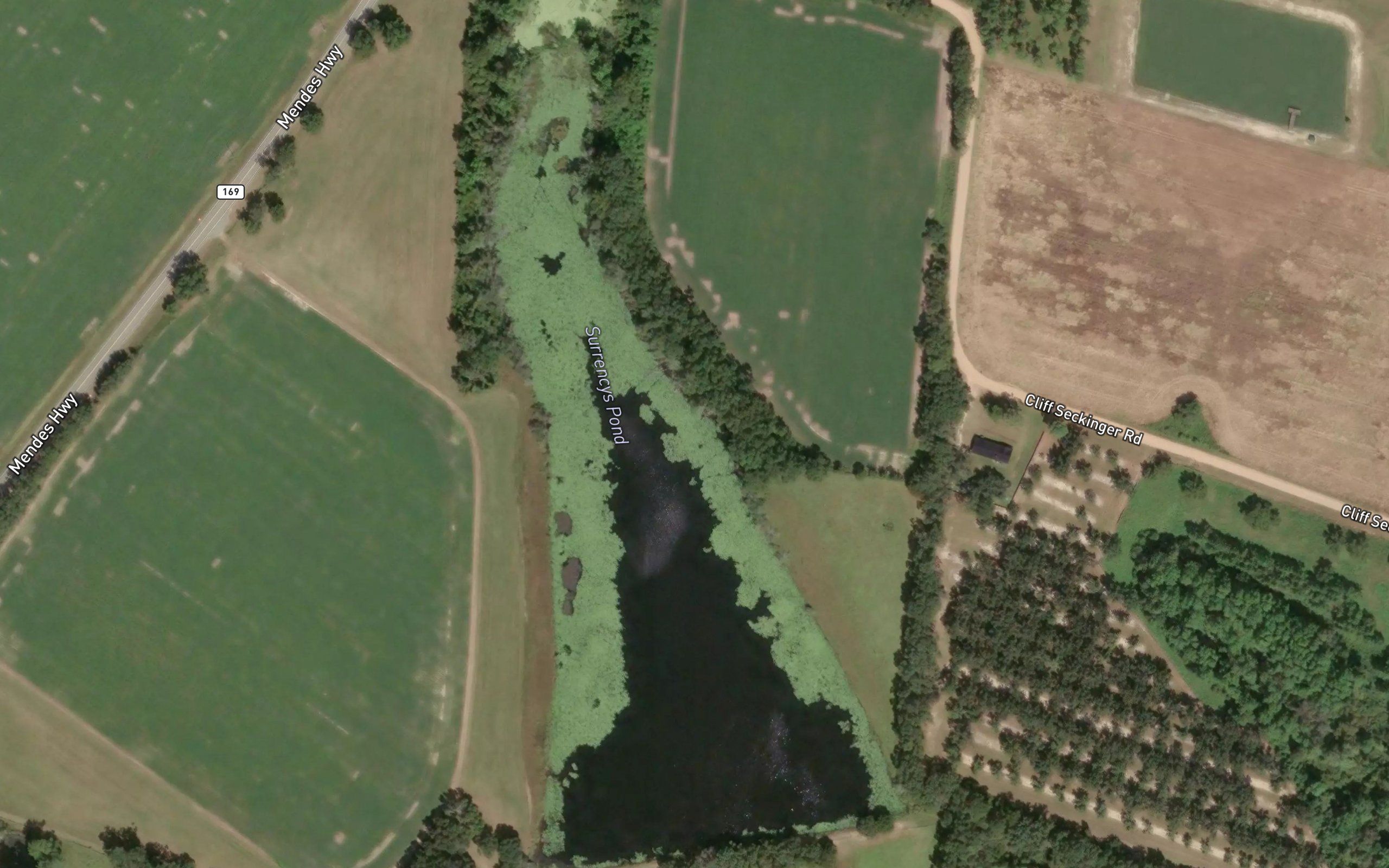 Surrencys Pond