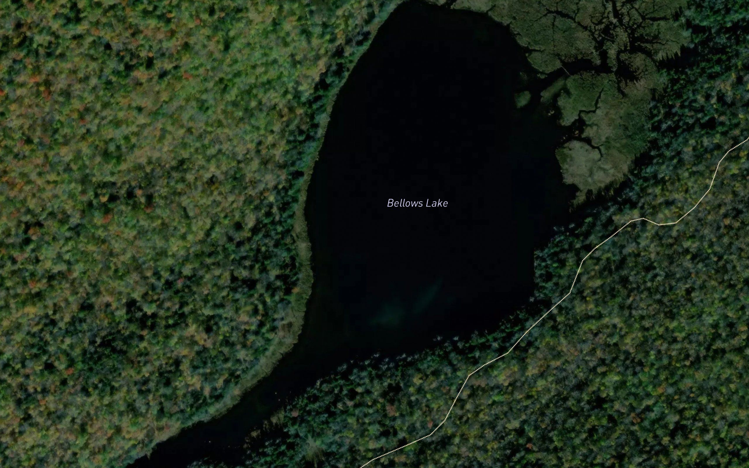 Bellows Lake