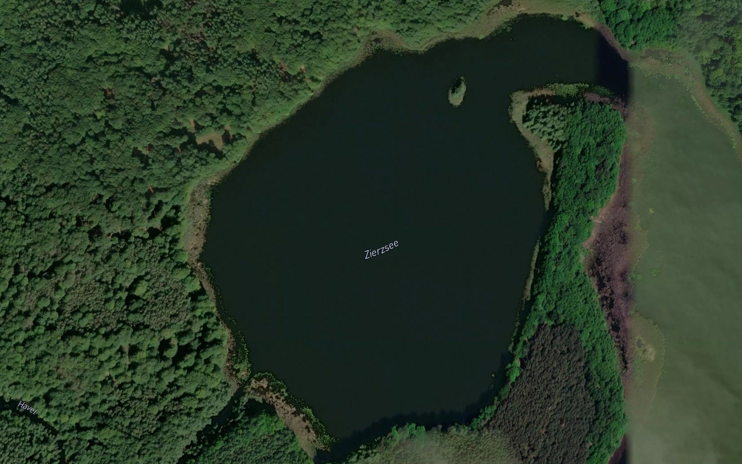 Zierzsee