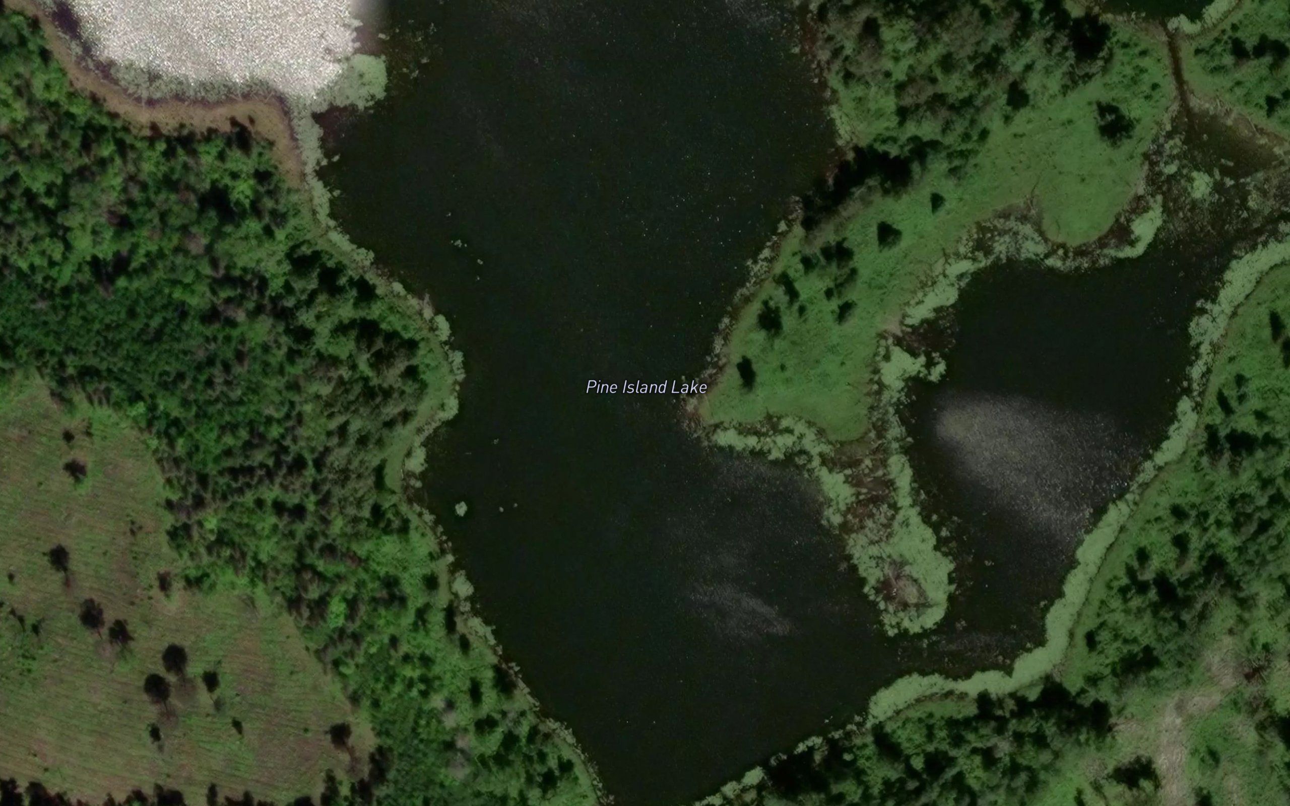 Pine Island Lake