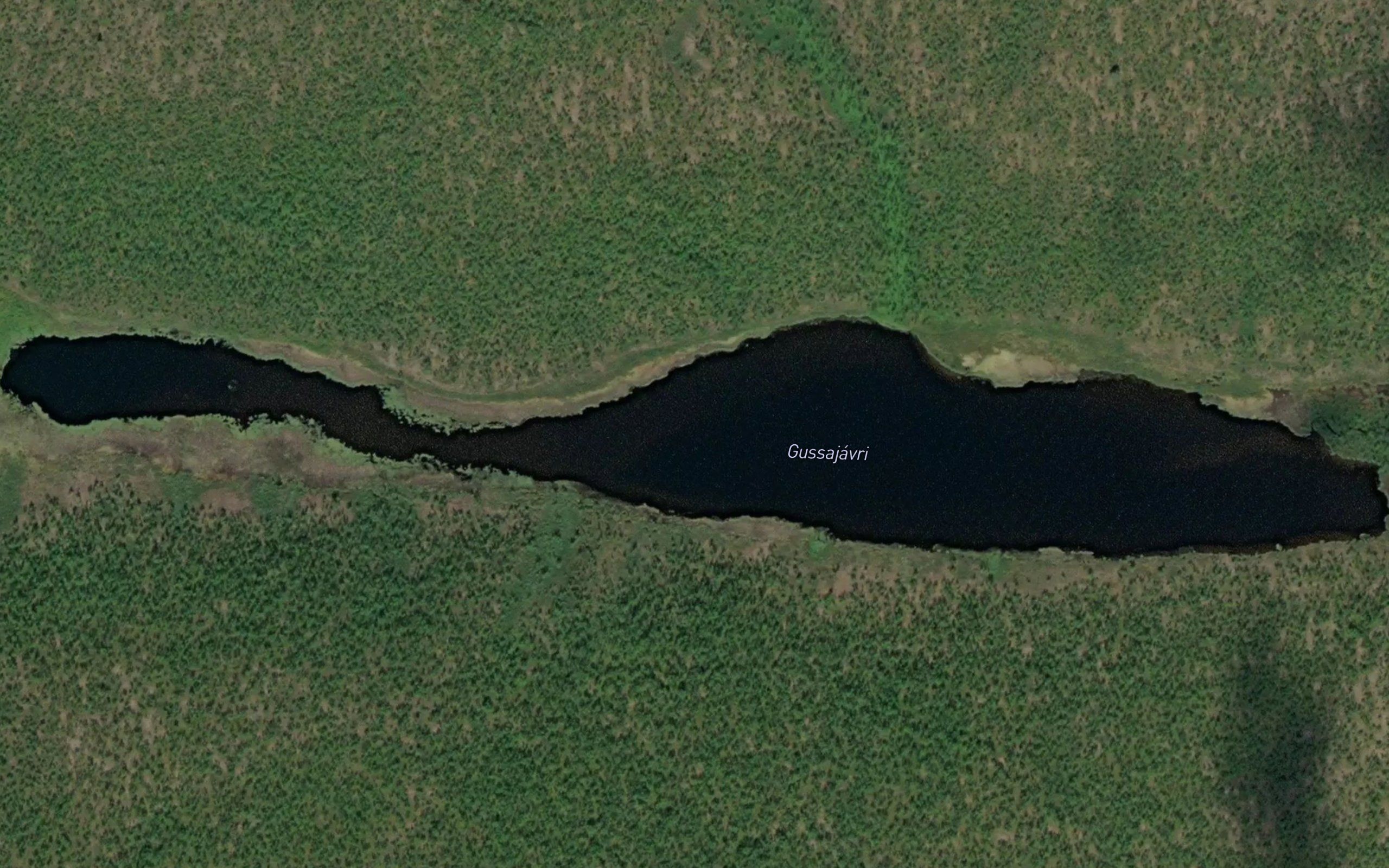 Gussajavri