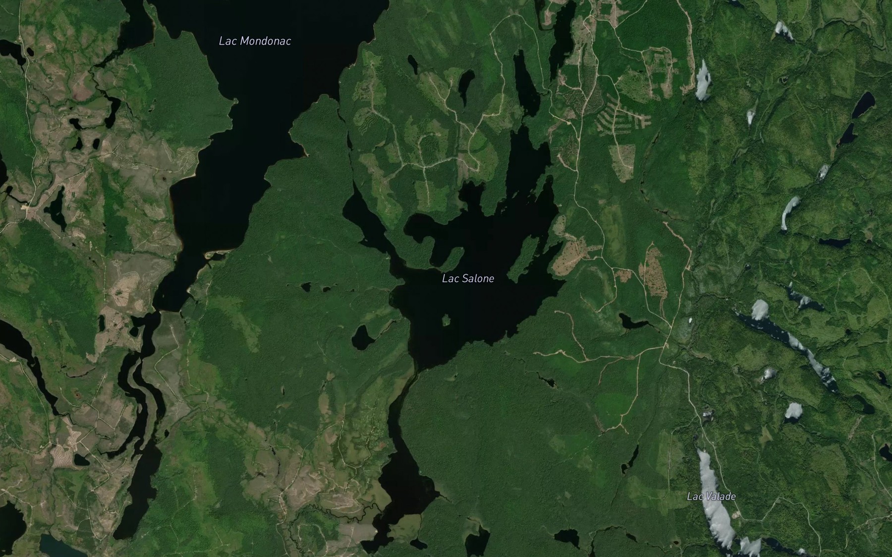 Satellite map of the Lac Salone
