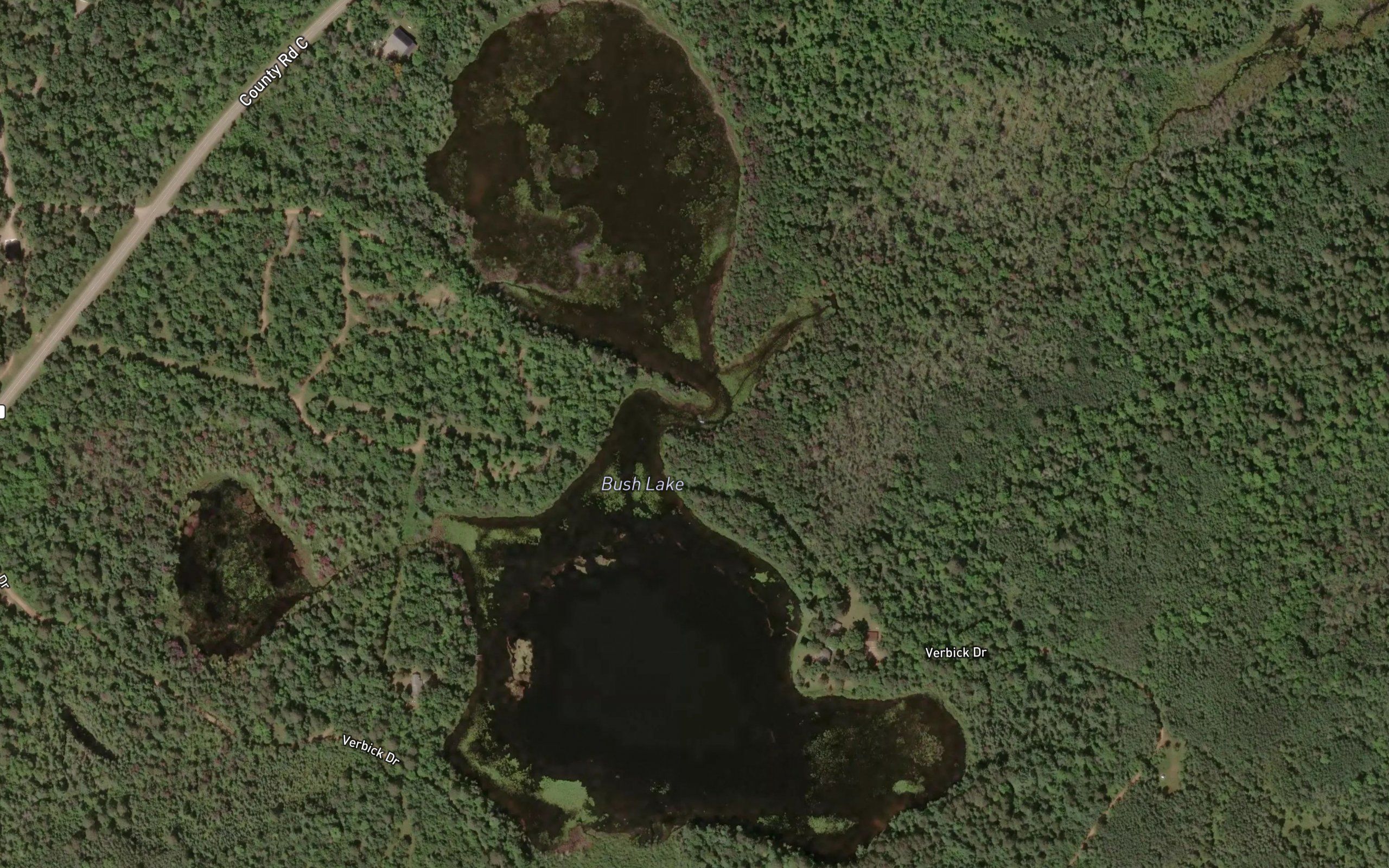 Bush Lake