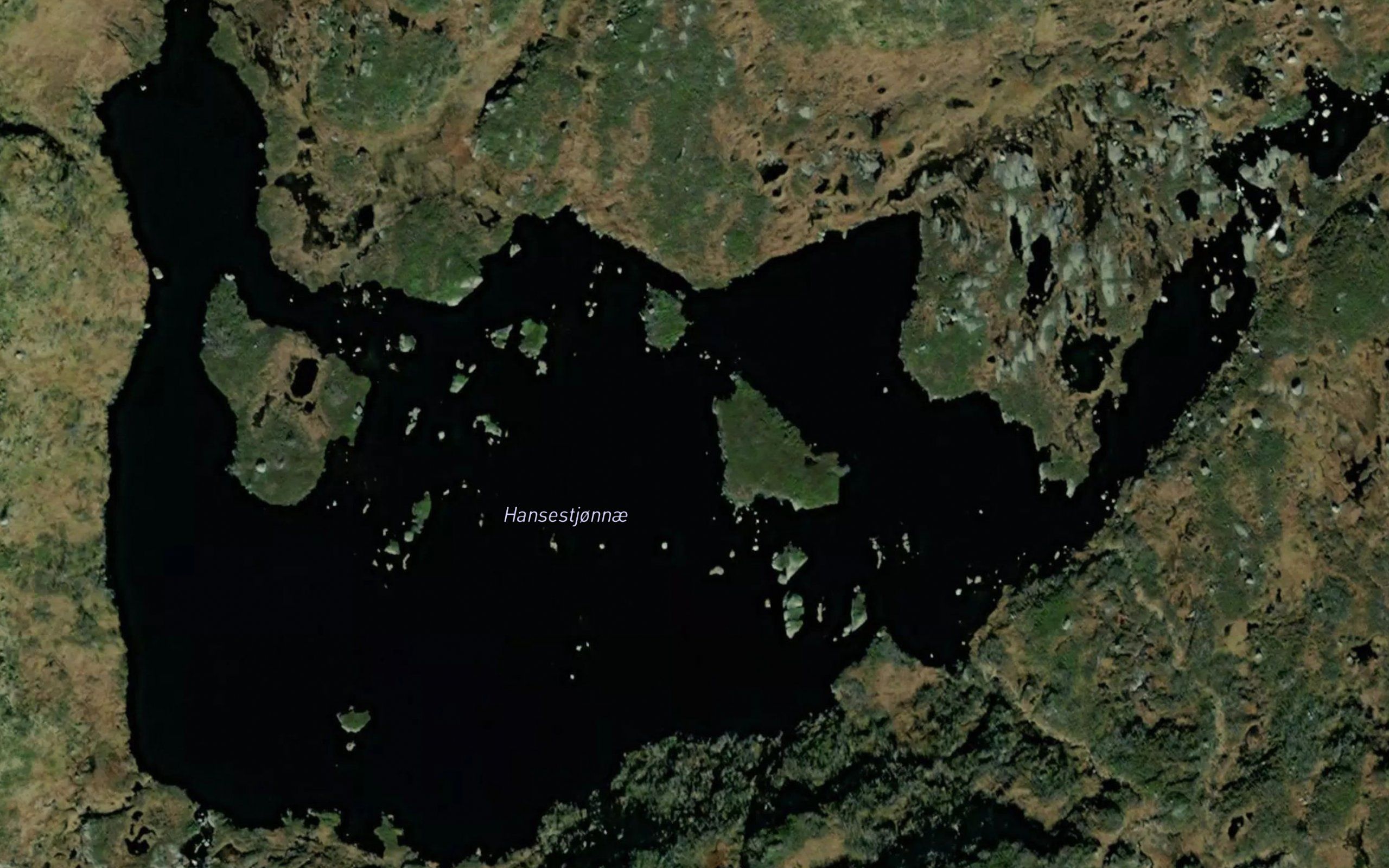 Hansestjornin
