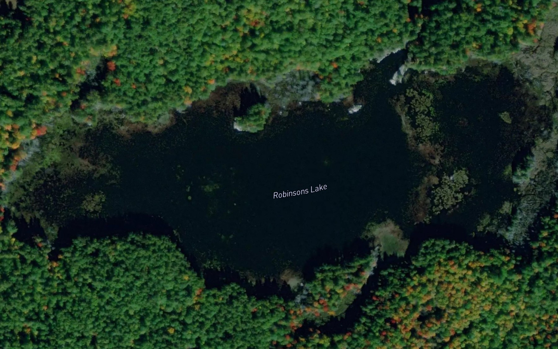 Satellite map of the Robinsons Lake