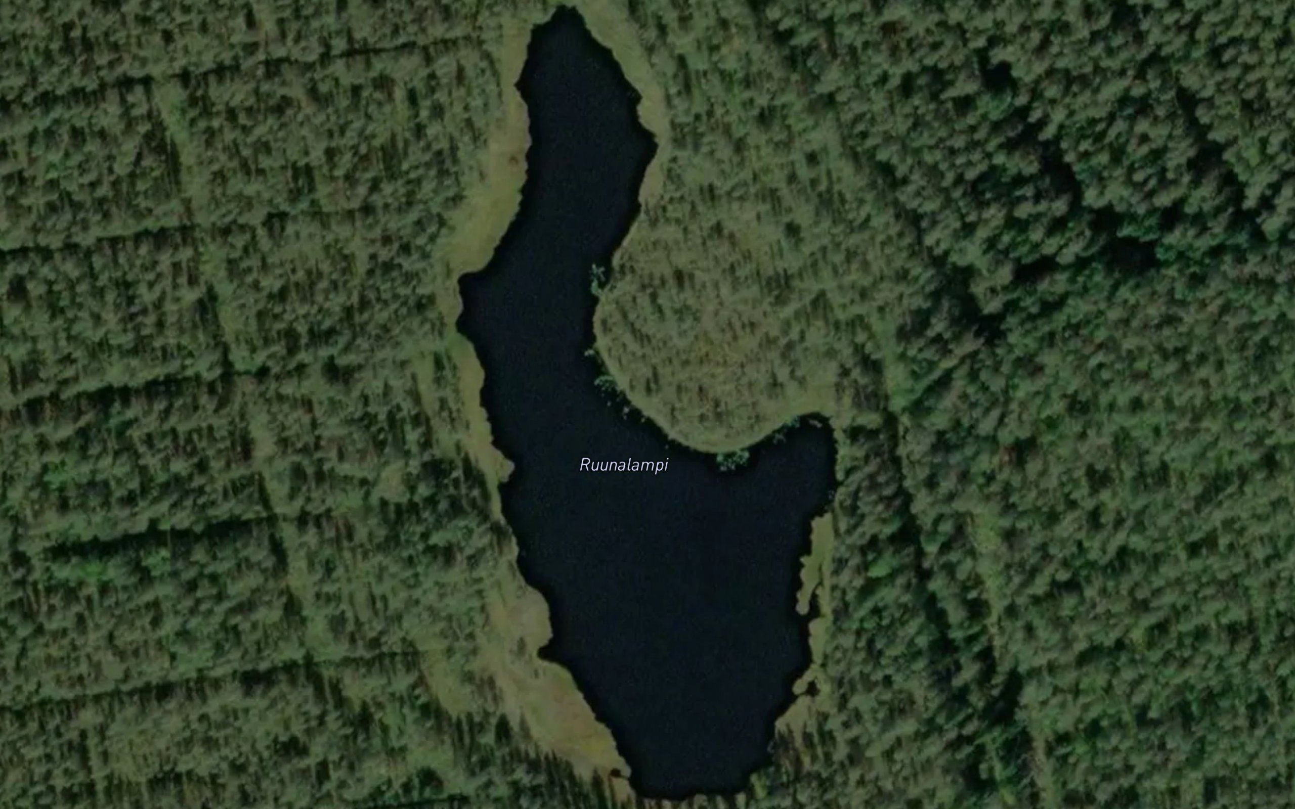 Ruunalampi