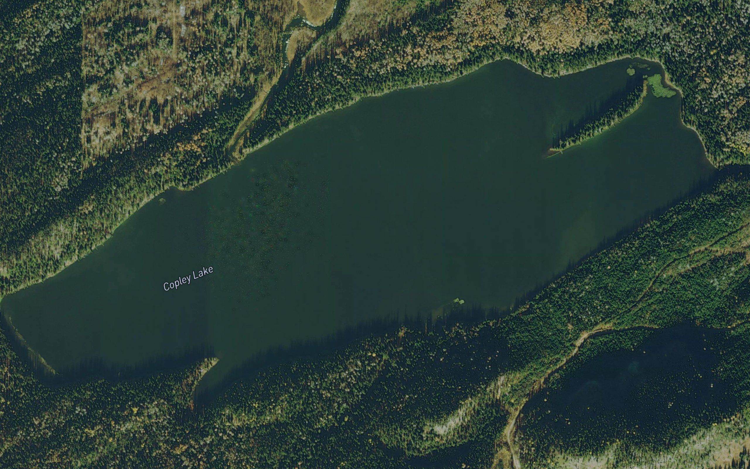 Copley Lake