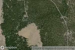 Mosquito Creek