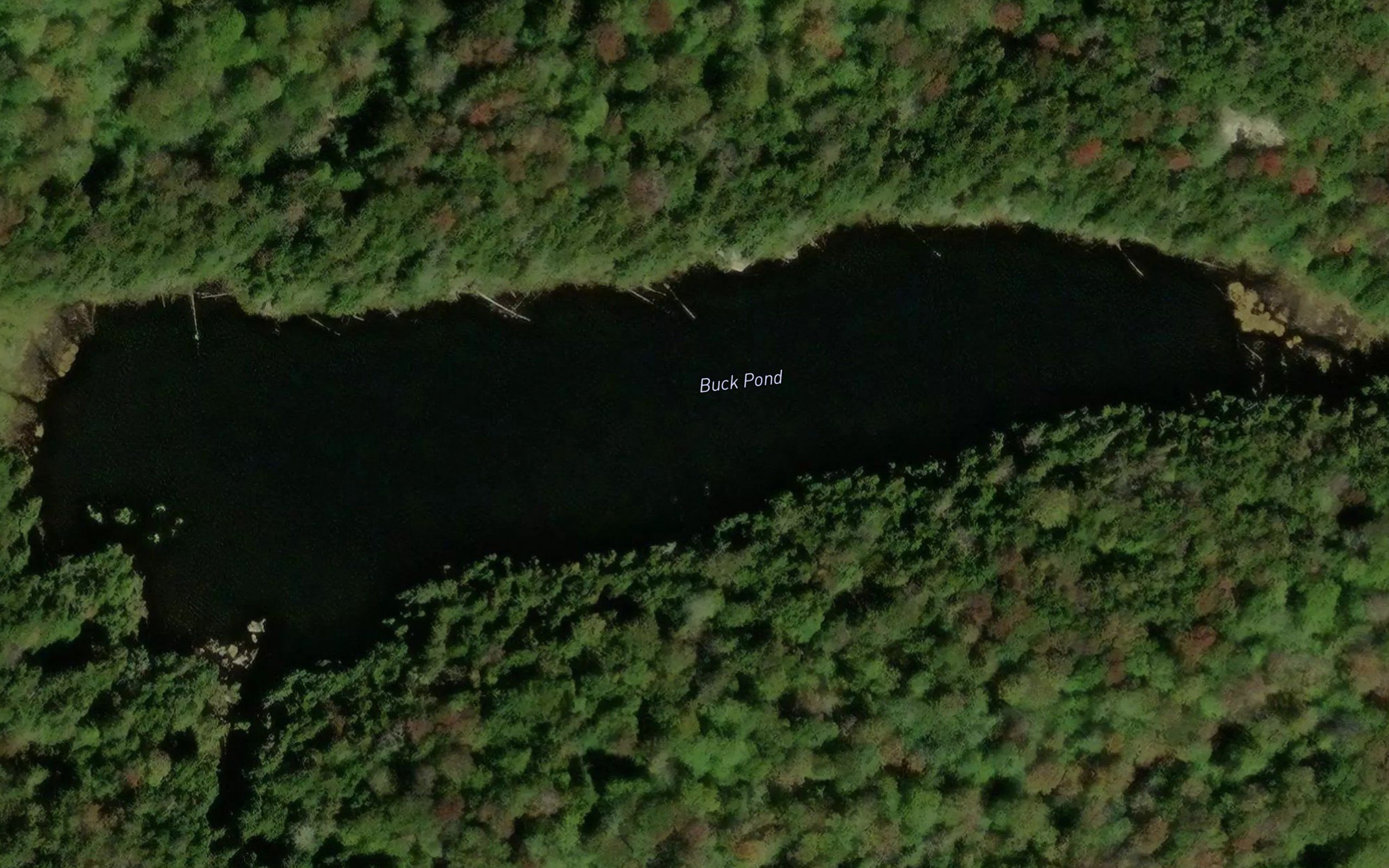 Buck Pond