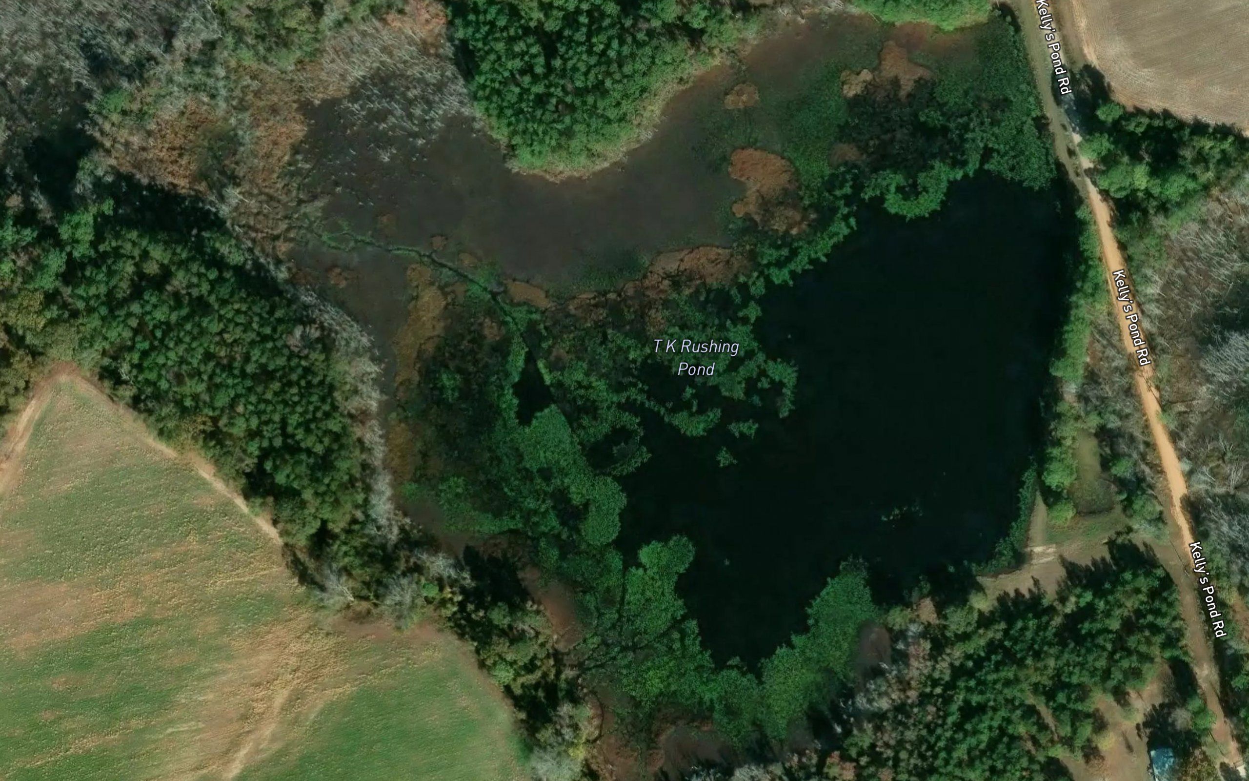 T K Rushing Pond