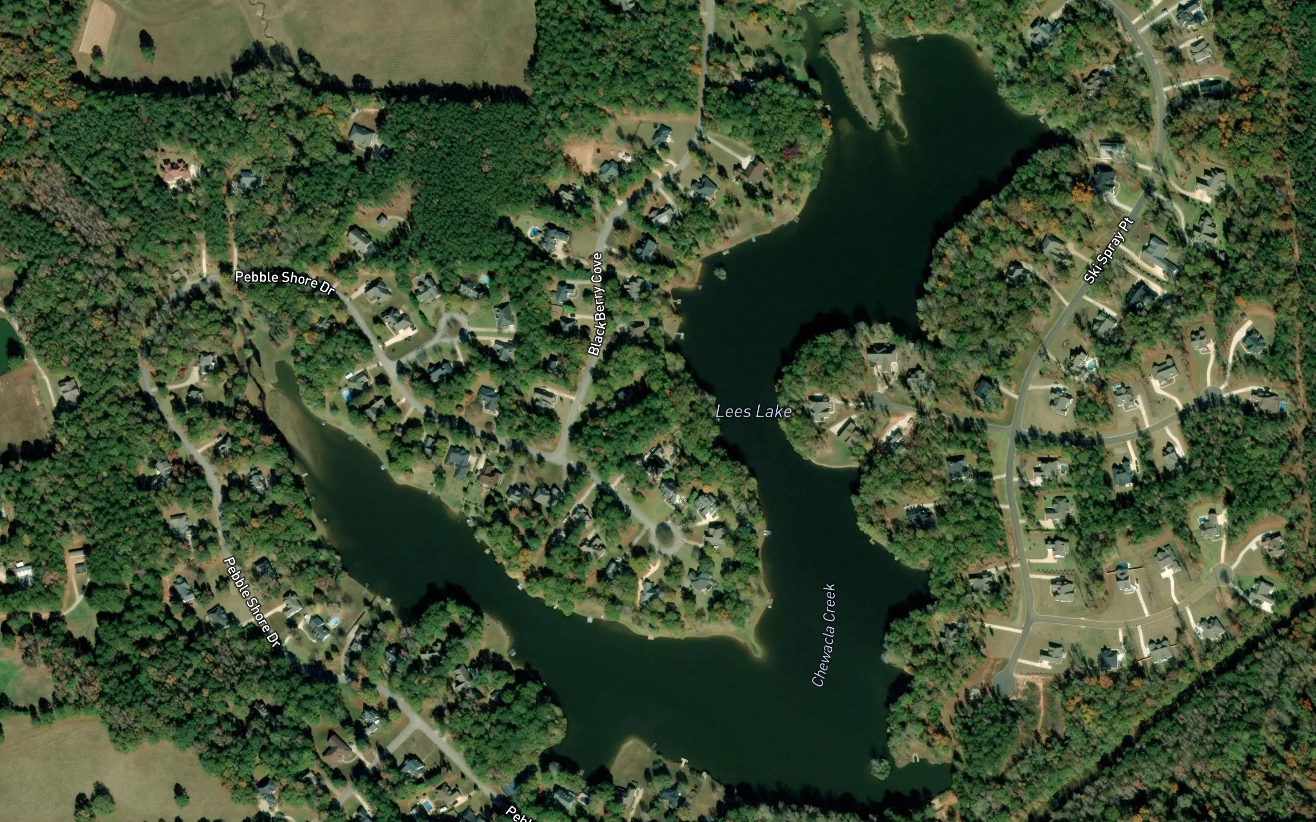 Lees Lake