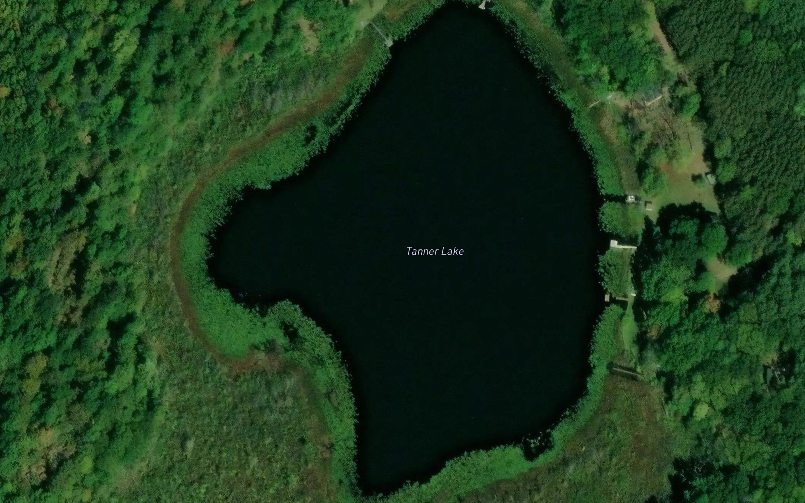 Tanner Lake