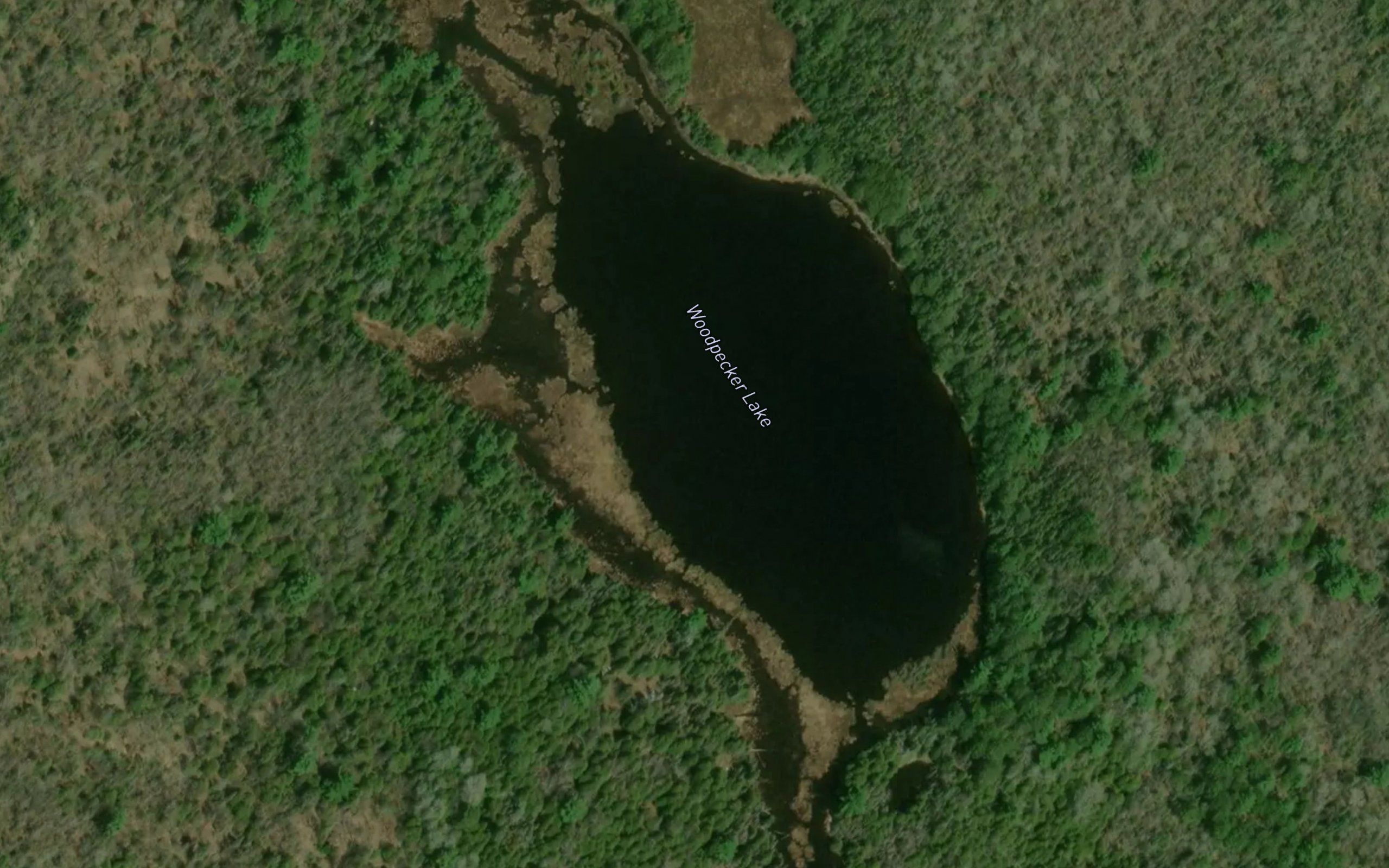Woodpecker Lake